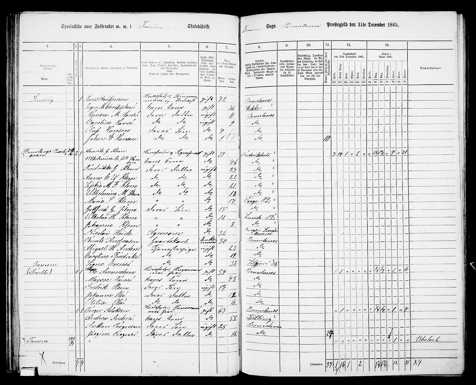 RA, 1865 census for Brunlanes, 1865, p. 63