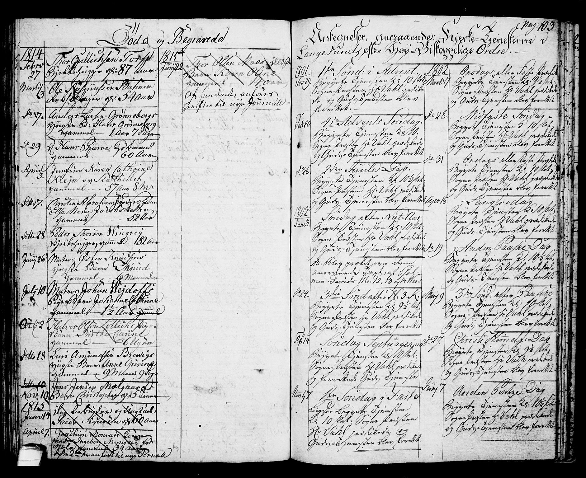 Langesund kirkebøker, AV/SAKO-A-280/G/Ga/L0002: Parish register (copy) no. 2, 1801-1815, p. 103