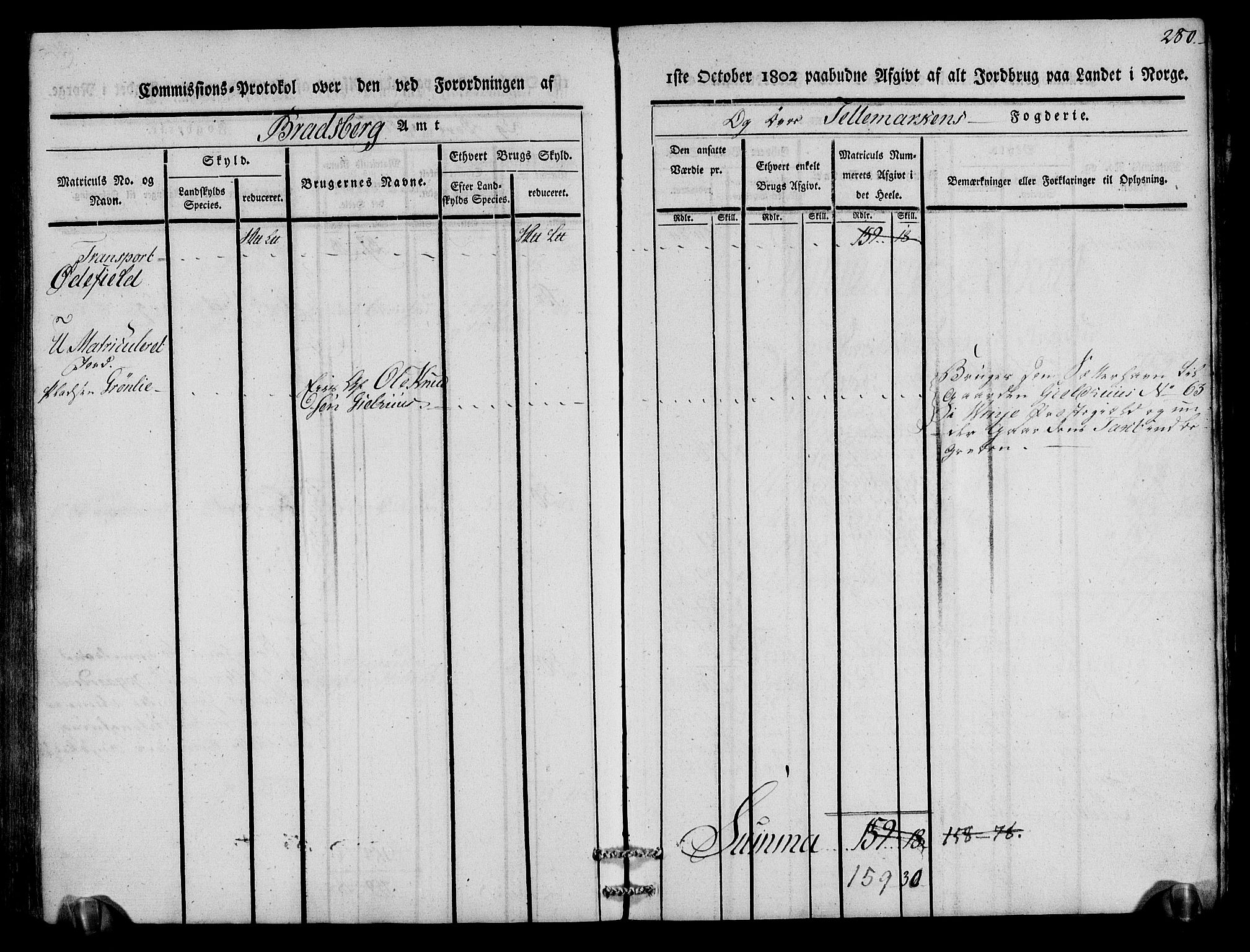 Rentekammeret inntil 1814, Realistisk ordnet avdeling, AV/RA-EA-4070/N/Ne/Nea/L0075: Øvre Telemarken fogderi. Kommisjonsprotokoll for fogderiets vestre del - Kviteseid, Vinje, Moland [):Fyresdal] og Lårdal prestegjeld., 1803, p. 282