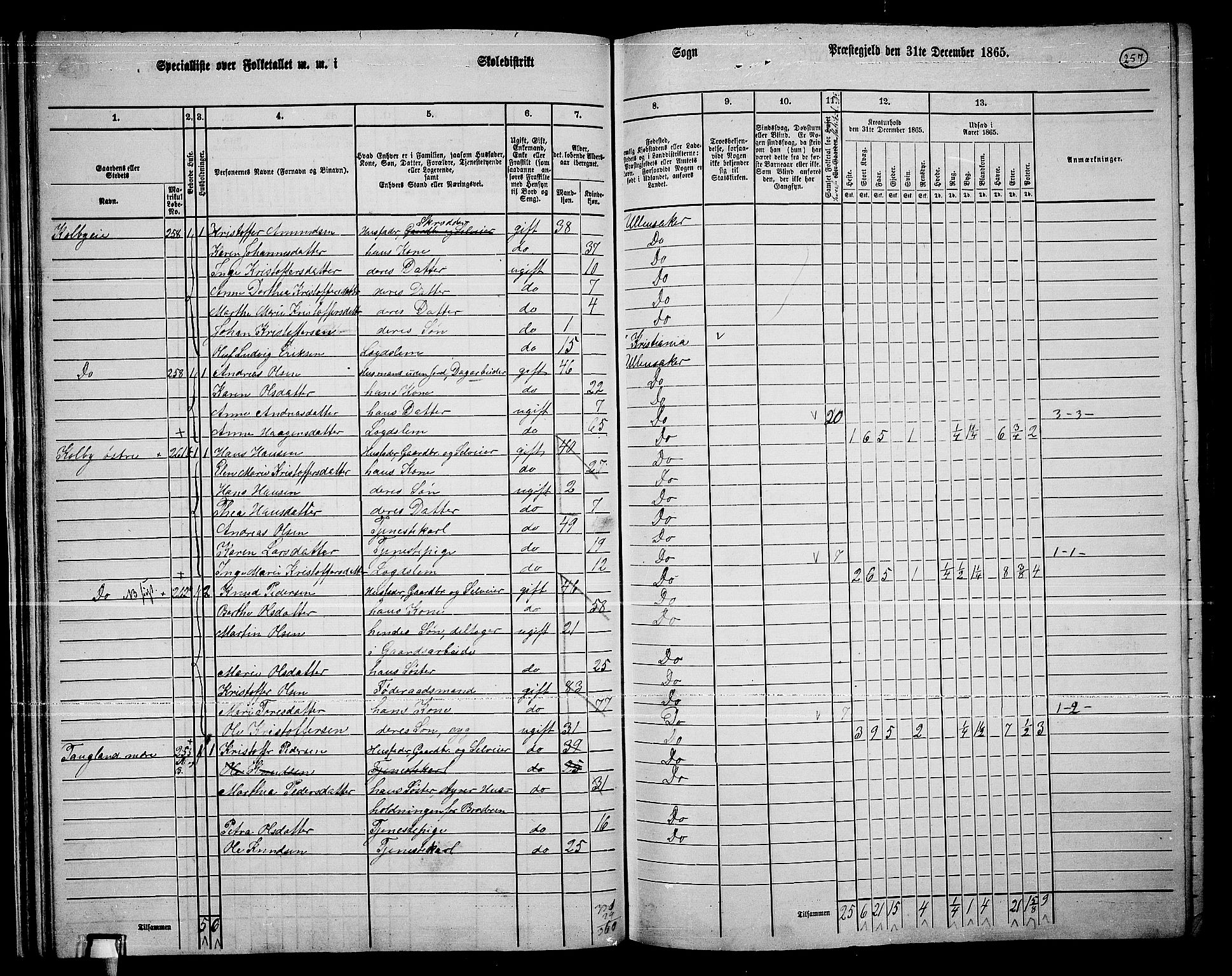 RA, 1865 census for Ullensaker, 1865, p. 229