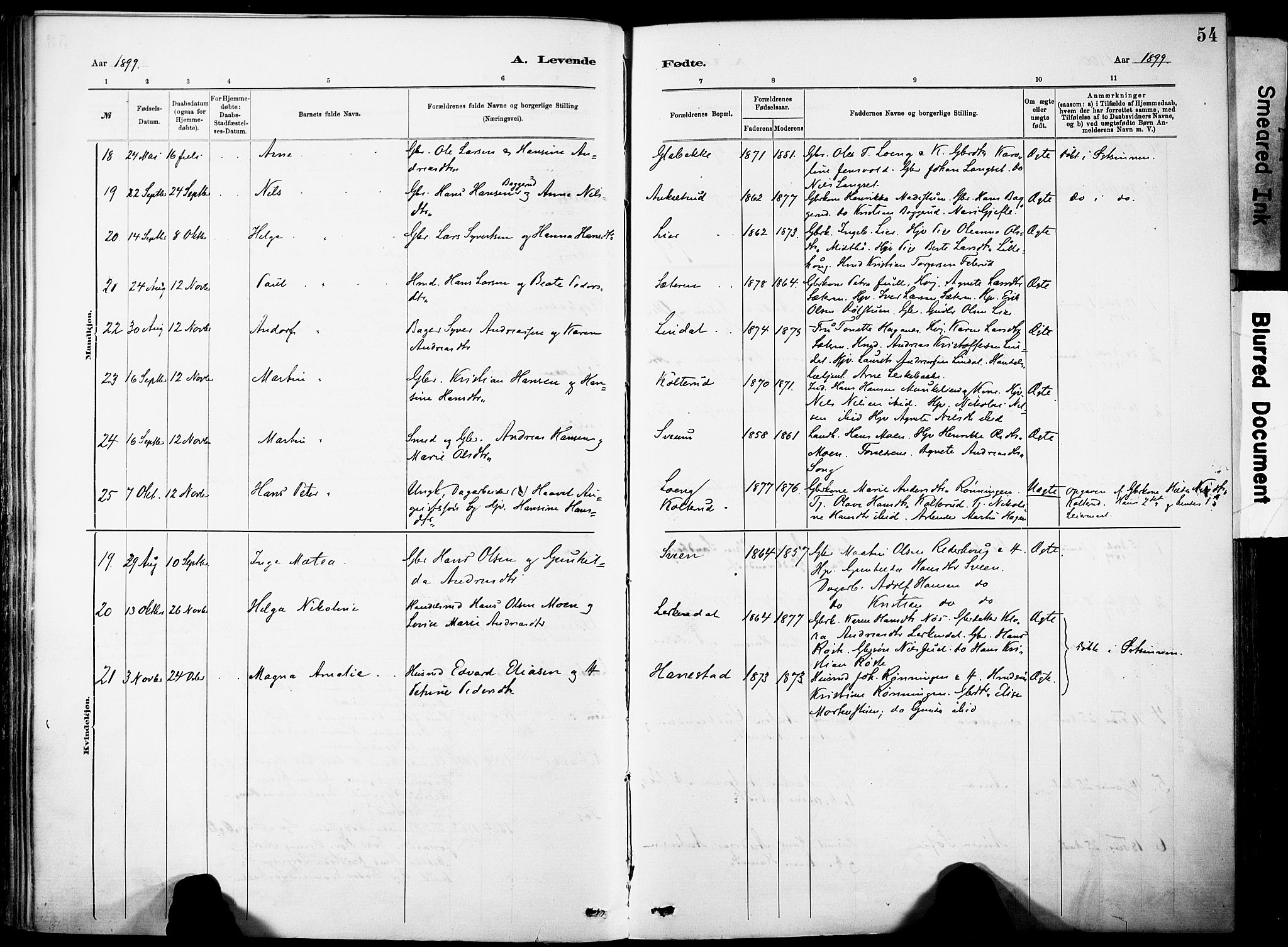 Nordre Land prestekontor, SAH/PREST-124/H/Ha/Haa/L0005: Parish register (official) no. 5, 1882-1903, p. 54