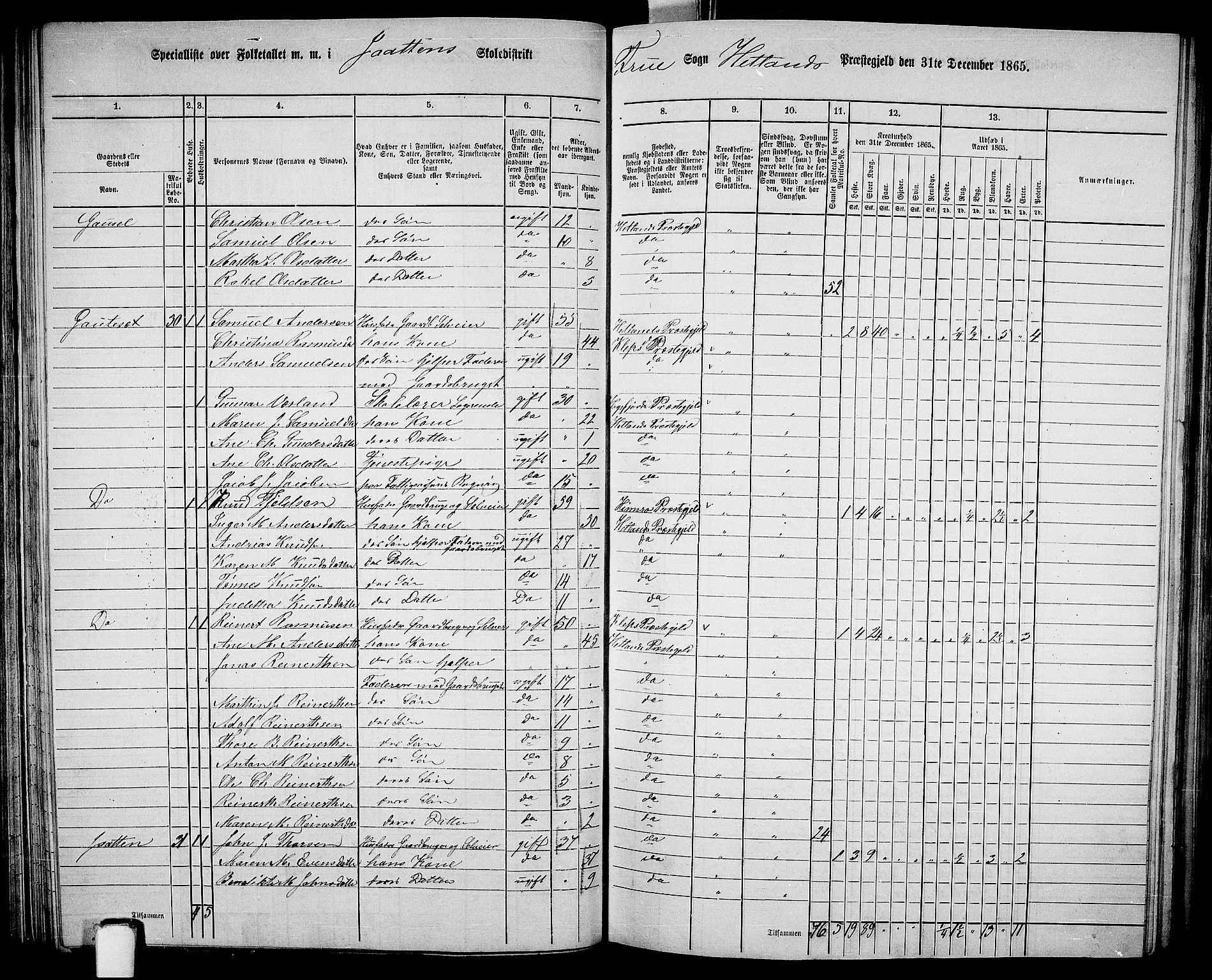 RA, 1865 census for Hetland, 1865, p. 93