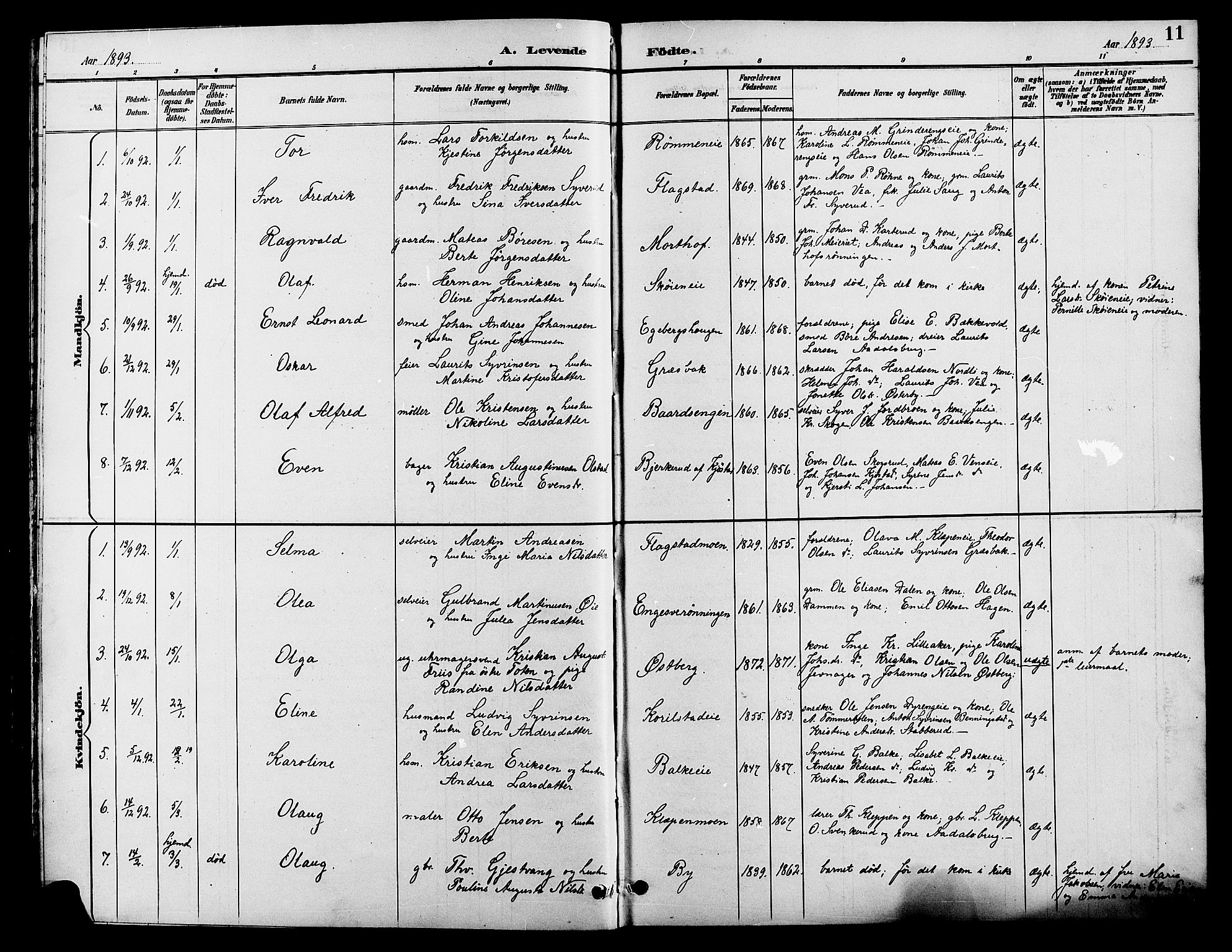 Løten prestekontor, AV/SAH-PREST-022/L/La/L0006: Parish register (copy) no. 6, 1892-1909, p. 11