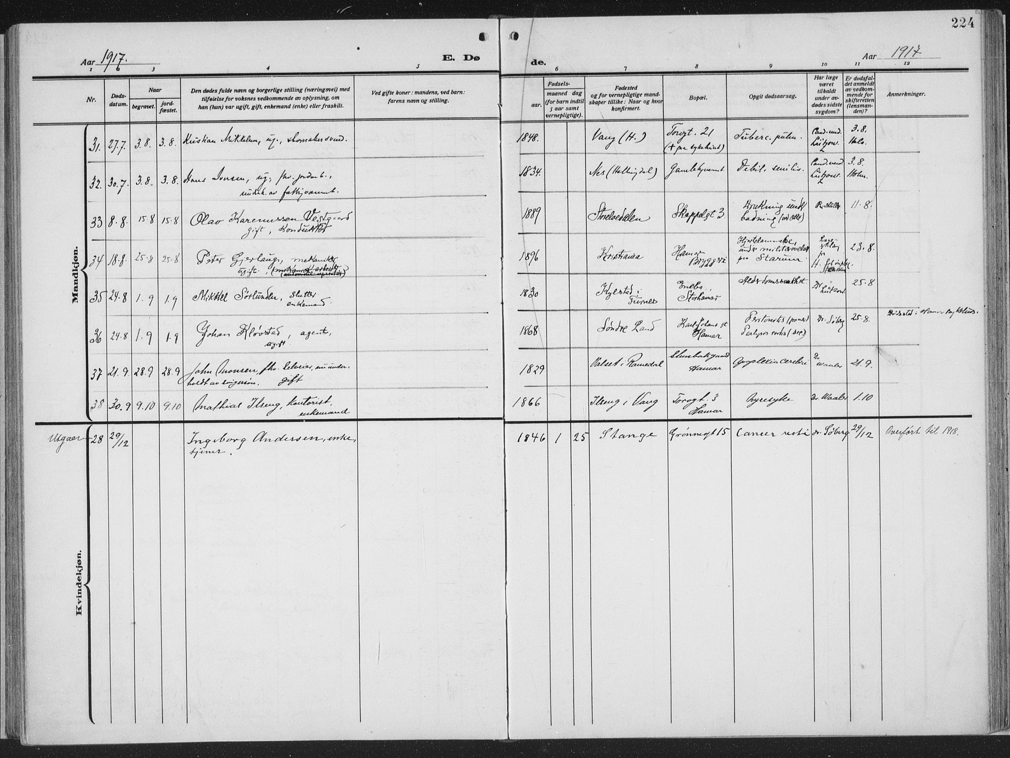 Hamar prestekontor, AV/SAH-DOMPH-002/H/Ha/Haa/L0002: Parish register (official) no. 2, 1915-1936, p. 224