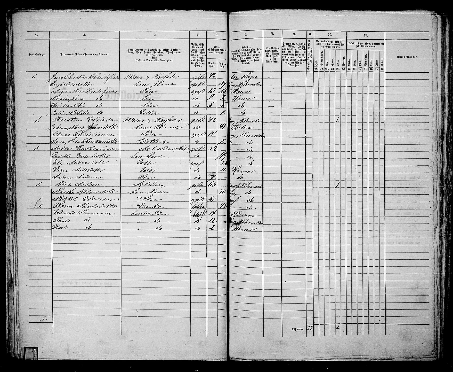 RA, 1865 census for Vang/Hamar, 1865, p. 99