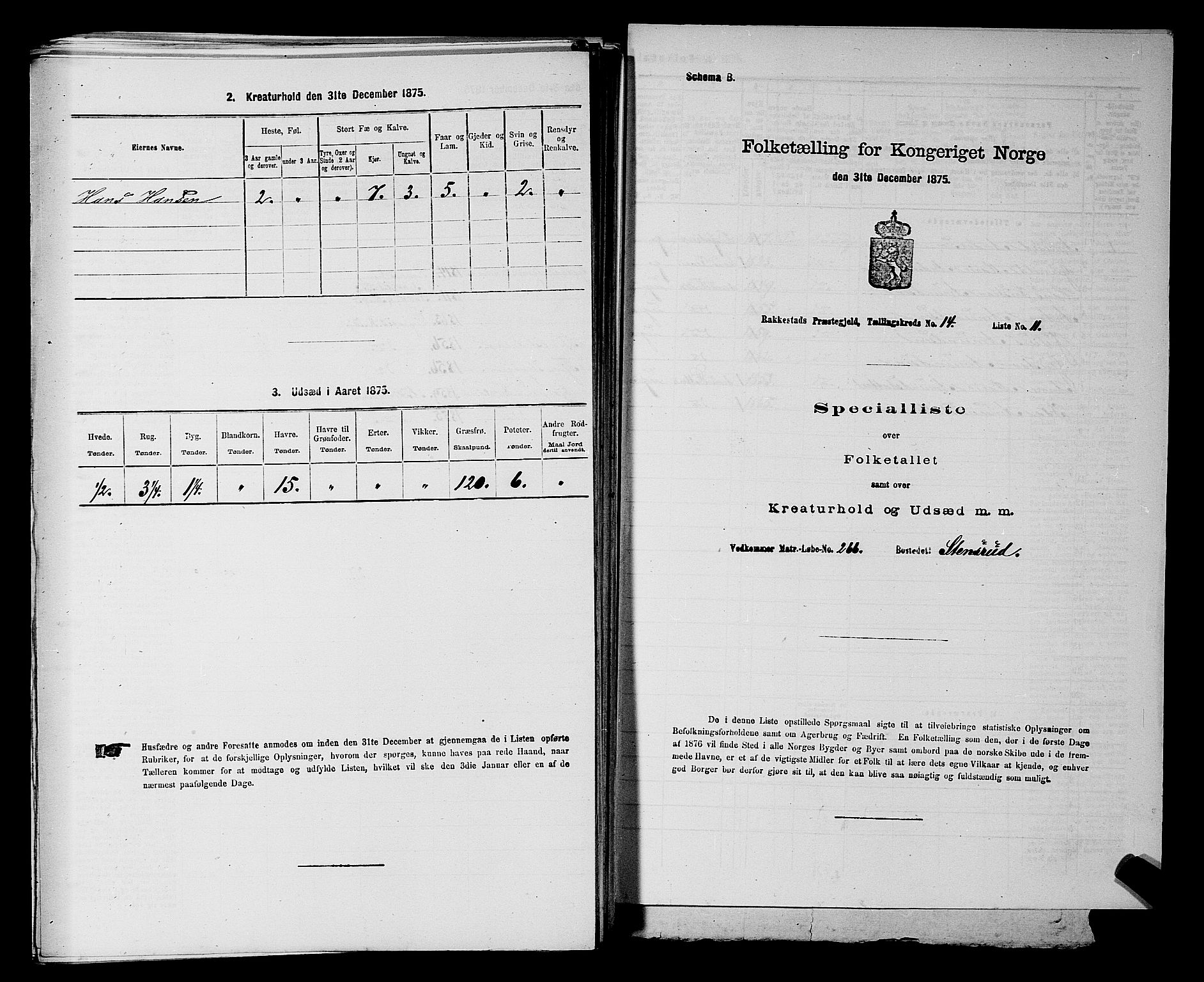 RA, 1875 census for 0128P Rakkestad, 1875, p. 1725