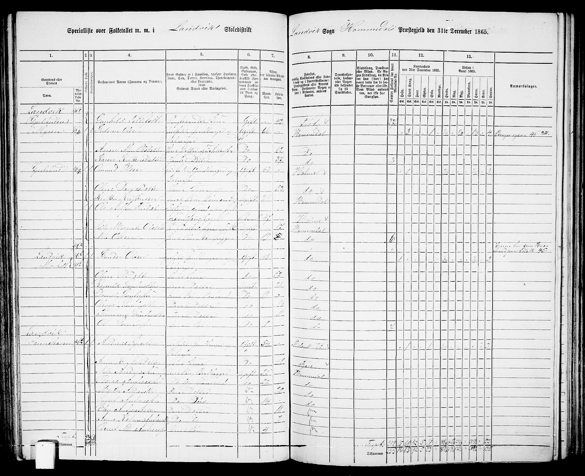 RA, 1865 census for Homedal, 1865, p. 83