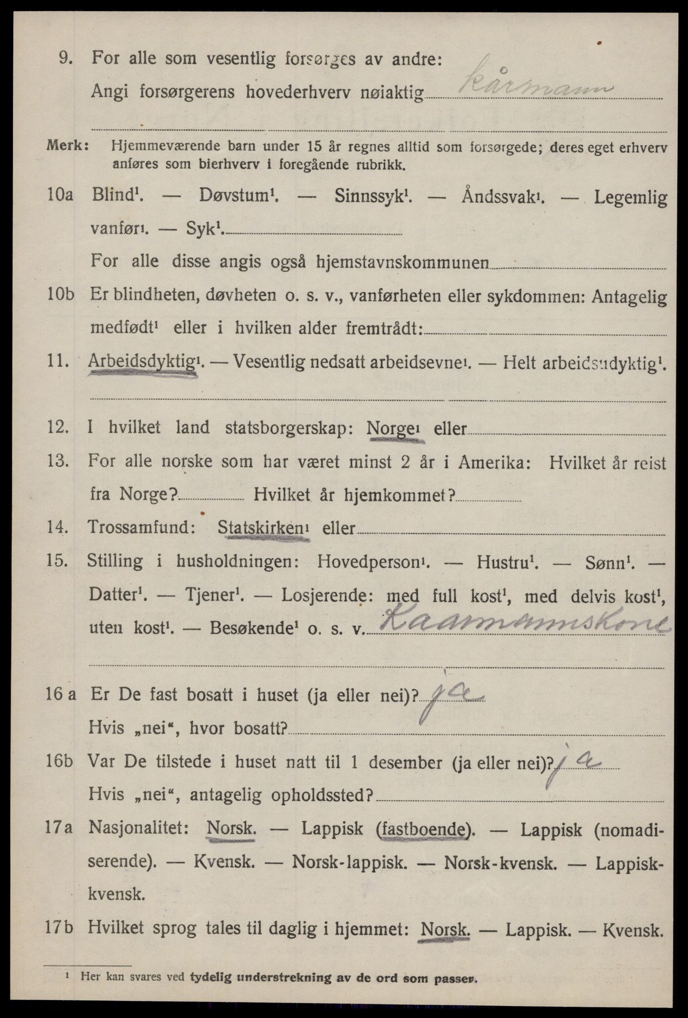 SAT, 1920 census for Horg, 1920, p. 4071