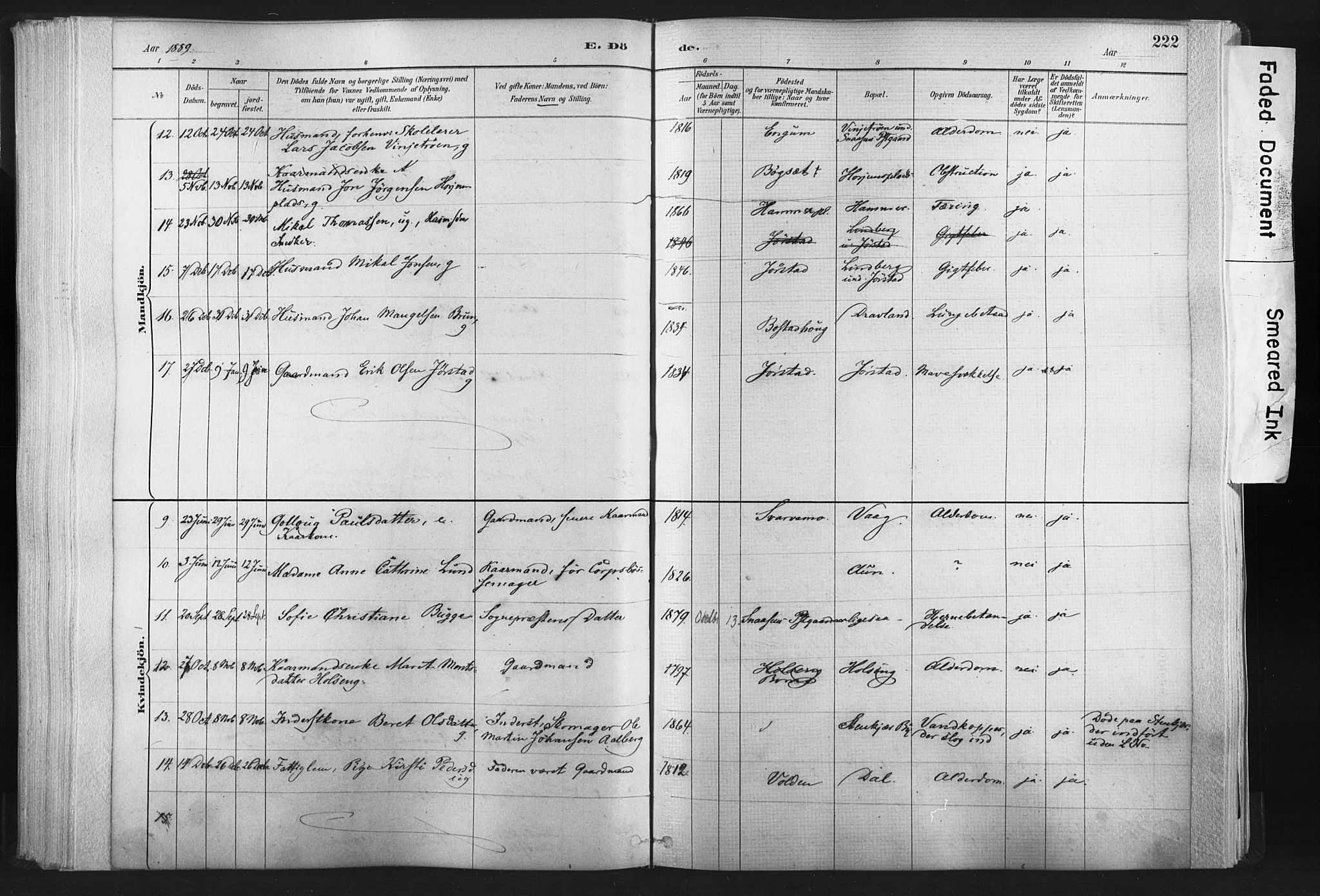 Ministerialprotokoller, klokkerbøker og fødselsregistre - Nord-Trøndelag, AV/SAT-A-1458/749/L0474: Parish register (official) no. 749A08, 1887-1903, p. 222