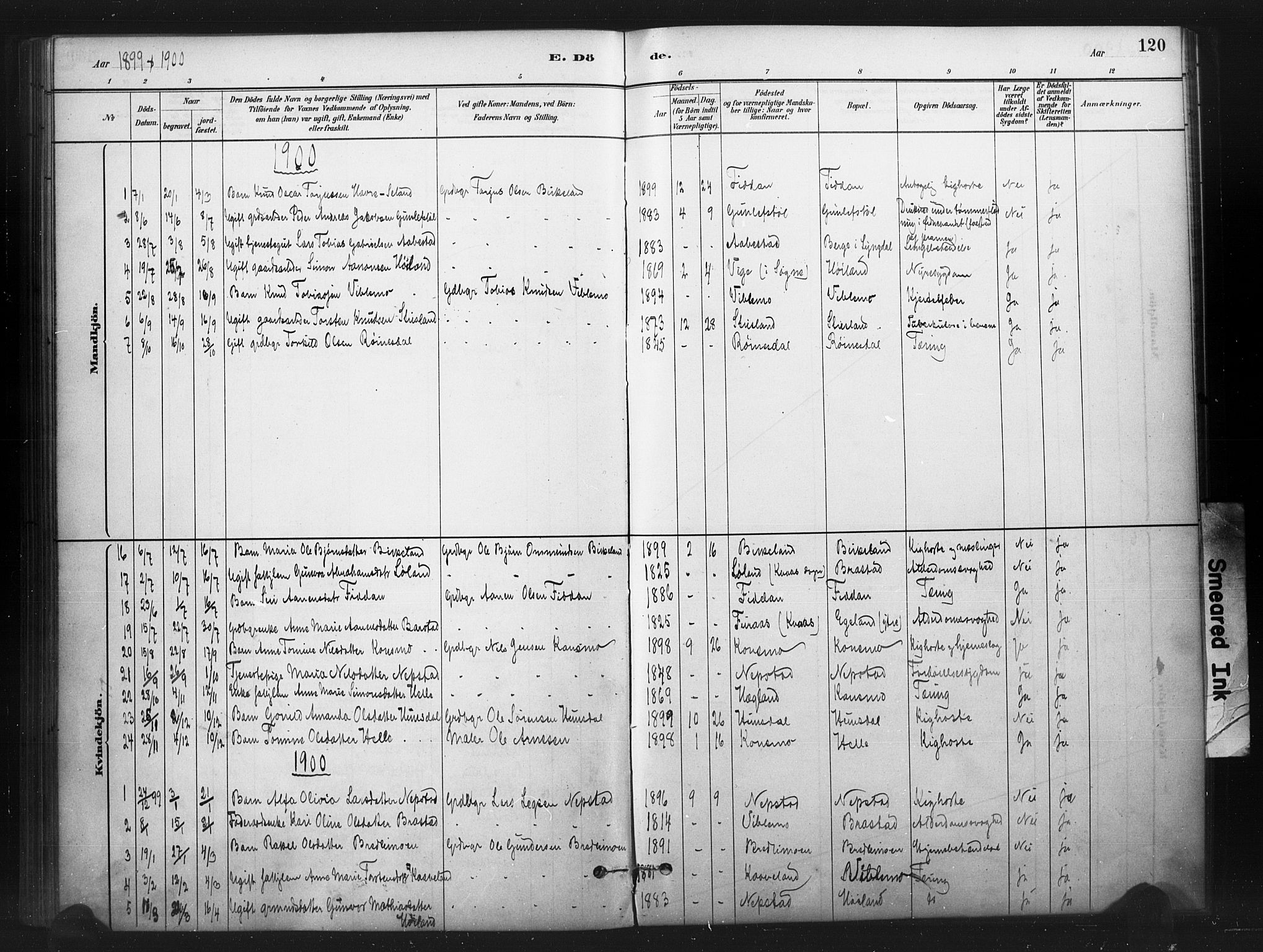 Nord-Audnedal sokneprestkontor, AV/SAK-1111-0032/F/Fa/Faa/L0003: Parish register (official) no. A 3, 1882-1900, p. 120