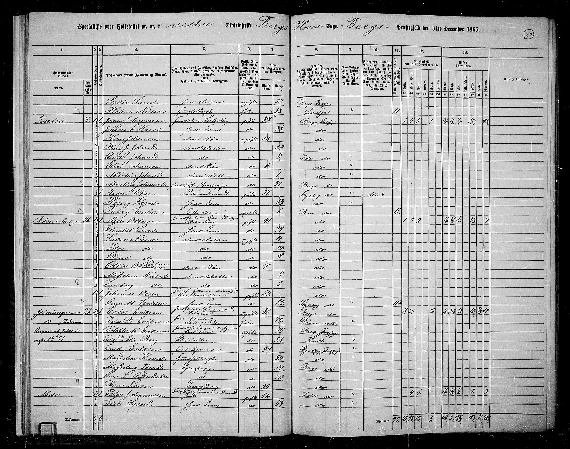 RA, 1865 census for Berg, 1865, p. 20