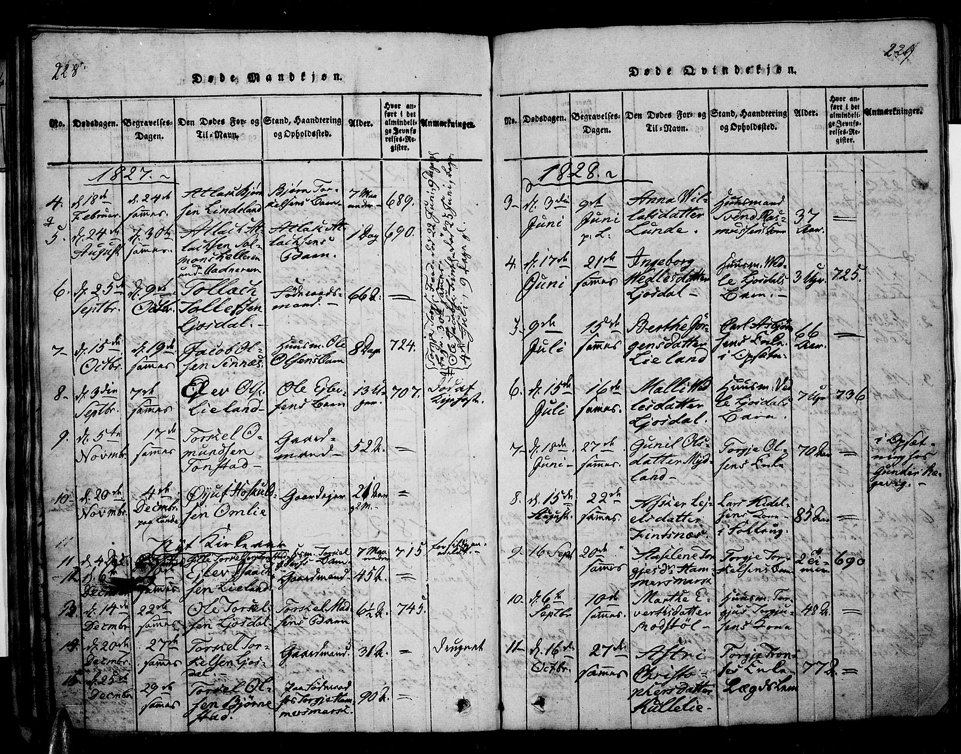 Sirdal sokneprestkontor, SAK/1111-0036/F/Fa/Fab/L0001: Parish register (official) no. A 1, 1815-1834, p. 228-229