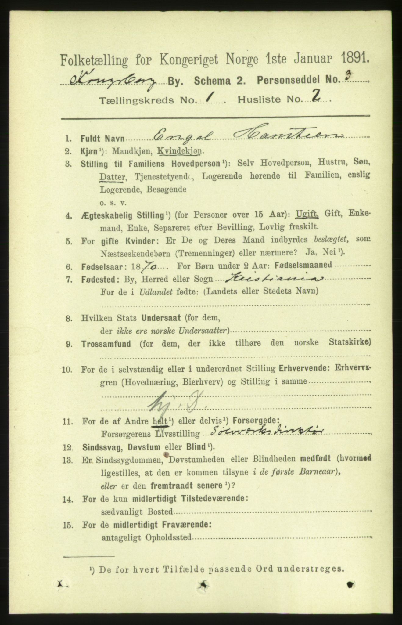 RA, 1891 census for 0604 Kongsberg, 1891, p. 1596