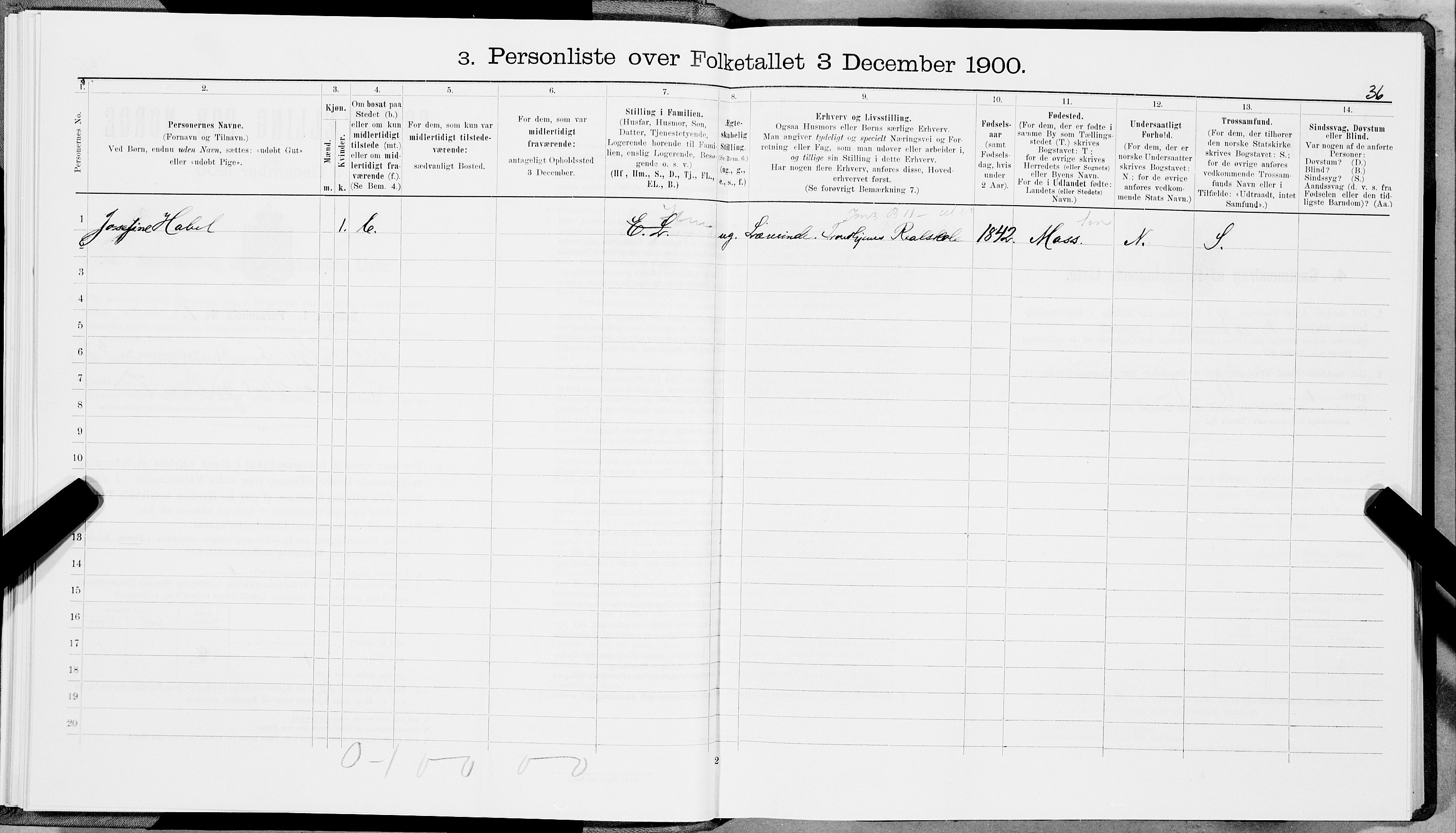 SAT, 1900 census for Trondheim, 1900, p. 8755