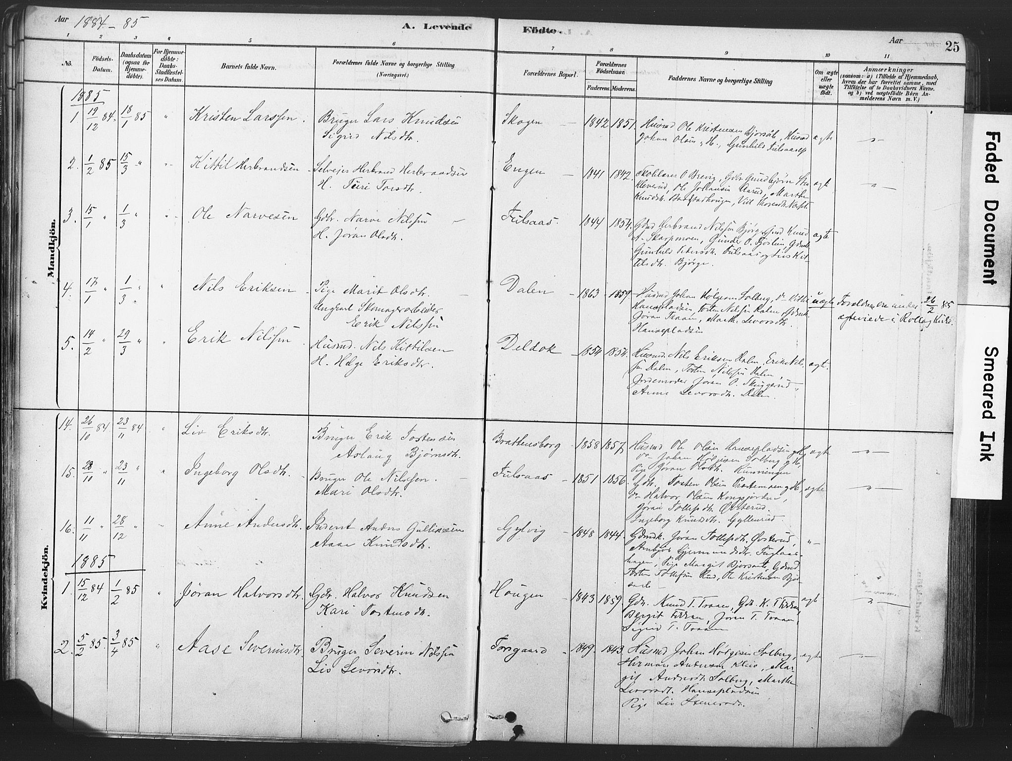 Rollag kirkebøker, AV/SAKO-A-240/F/Fa/L0011: Parish register (official) no. I 11, 1878-1902, p. 25