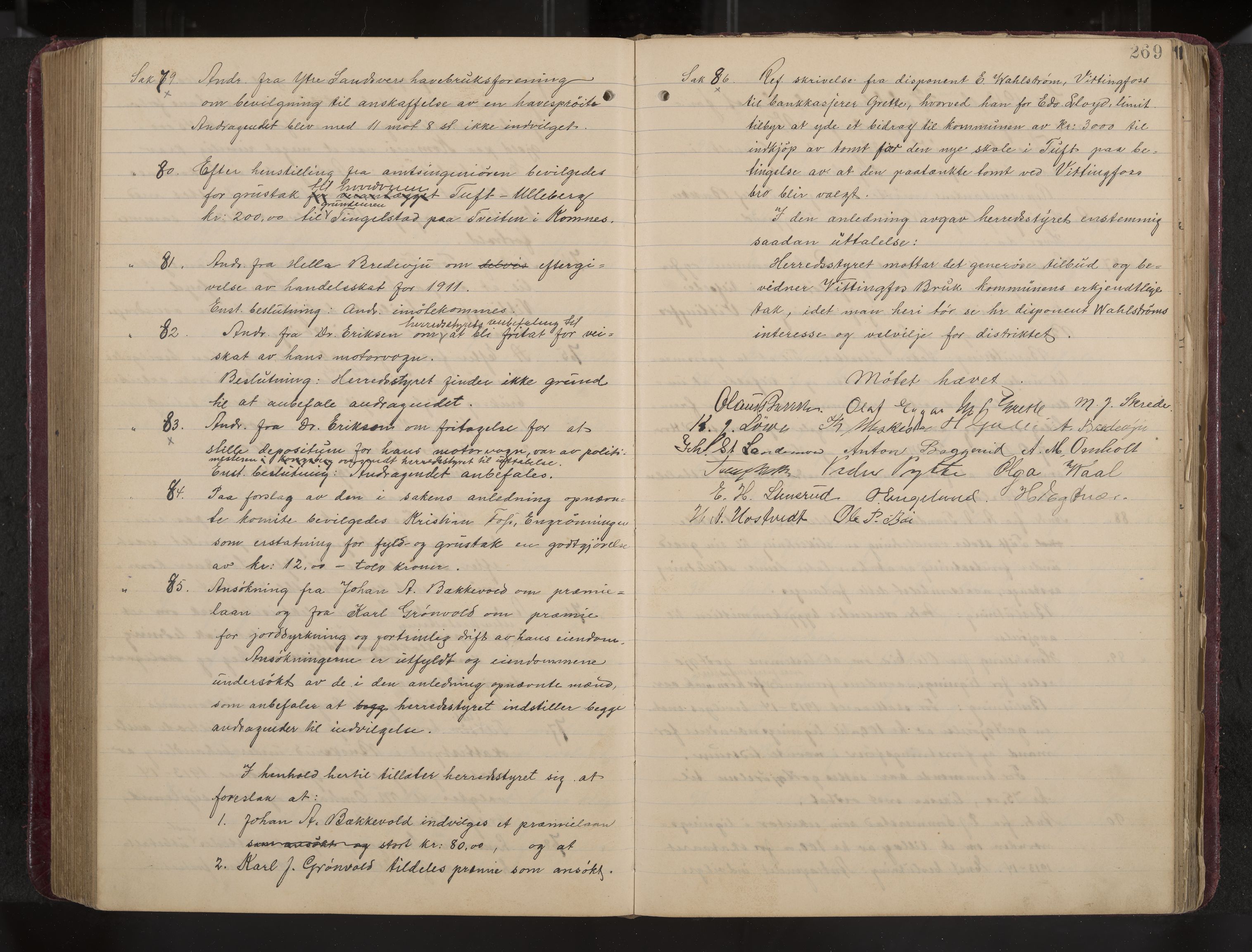 Ytre Sandsvær formannskap og sentraladministrasjon, IKAK/0629021/A/Aa/L0001: Møtebok med register, 1902-1919, p. 269