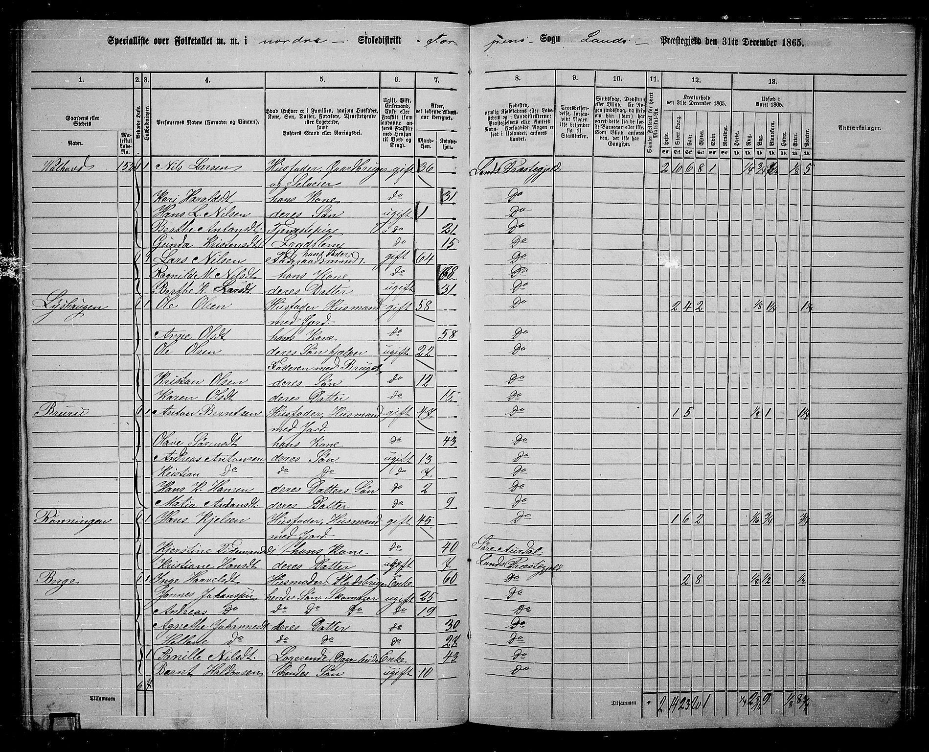 RA, 1865 census for Land, 1865, p. 126