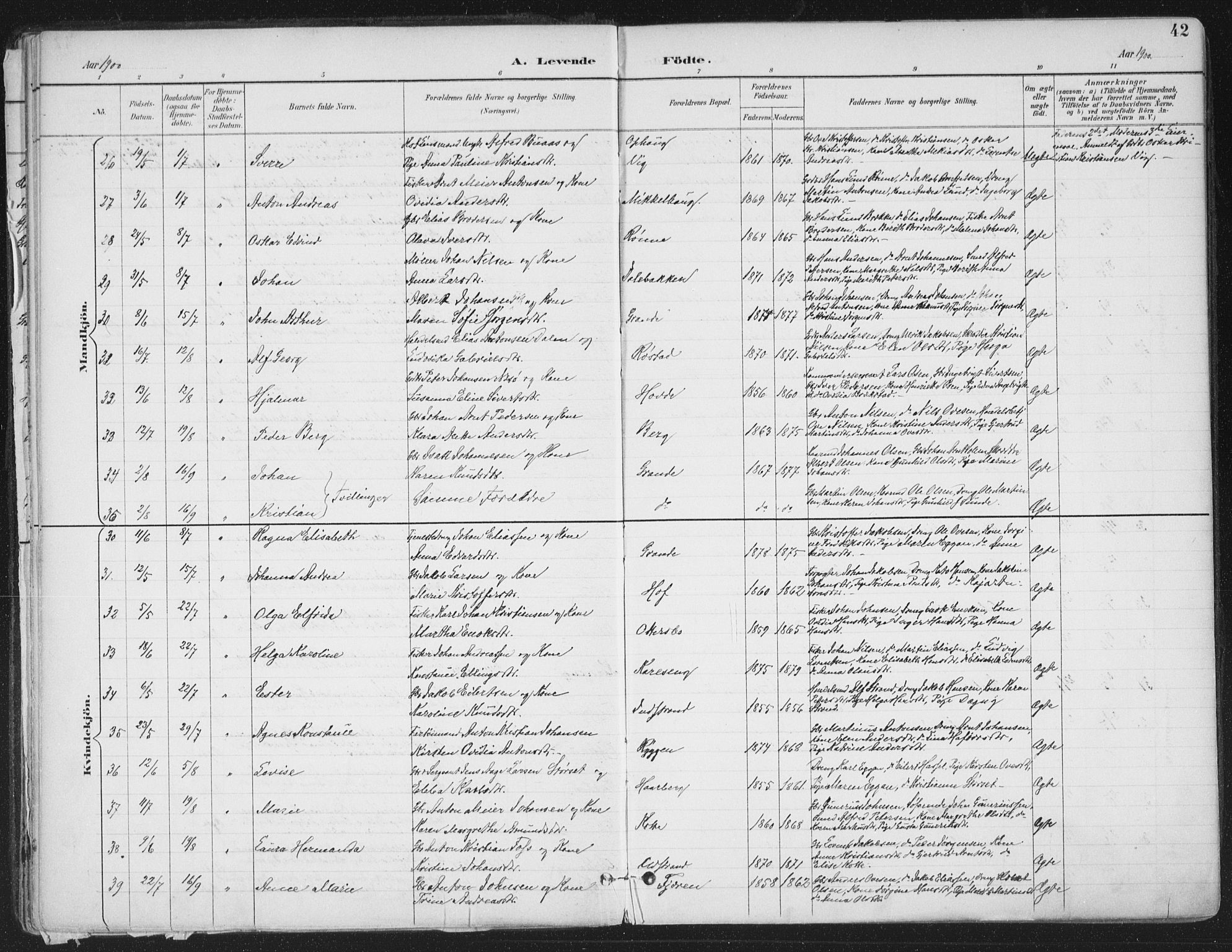 Ministerialprotokoller, klokkerbøker og fødselsregistre - Sør-Trøndelag, SAT/A-1456/659/L0743: Parish register (official) no. 659A13, 1893-1910, p. 42