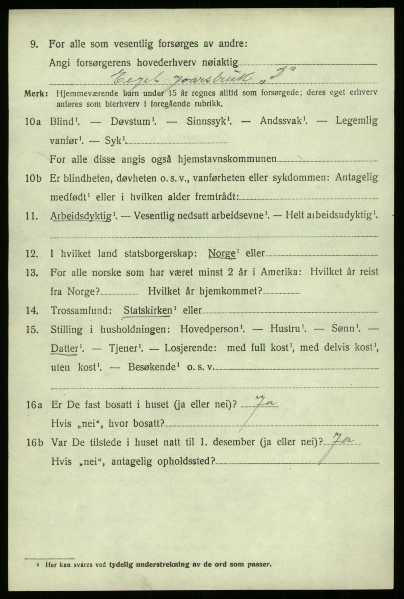 SAB, 1920 census for Hafslo, 1920, p. 2635