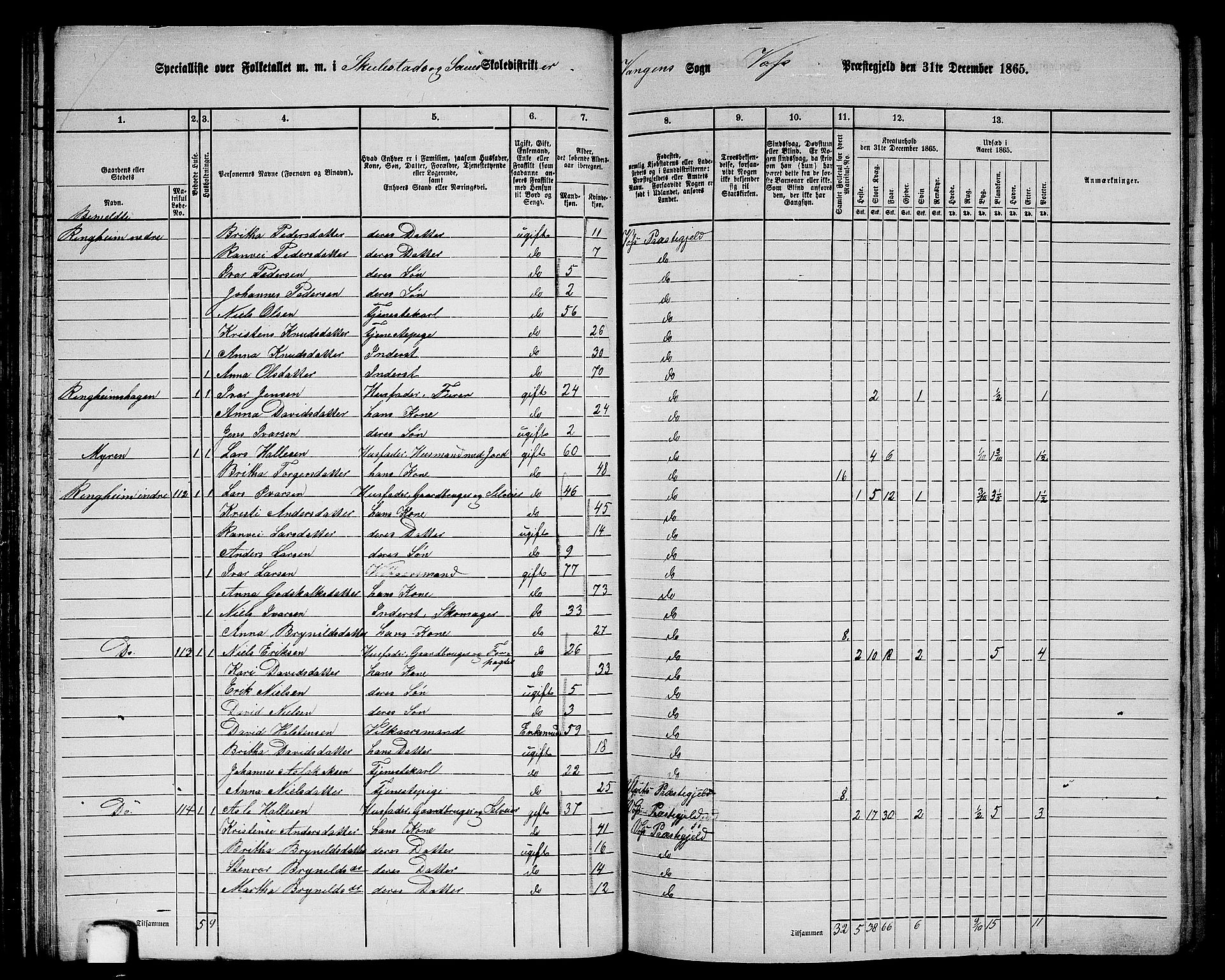 RA, 1865 census for Voss, 1865, p. 68