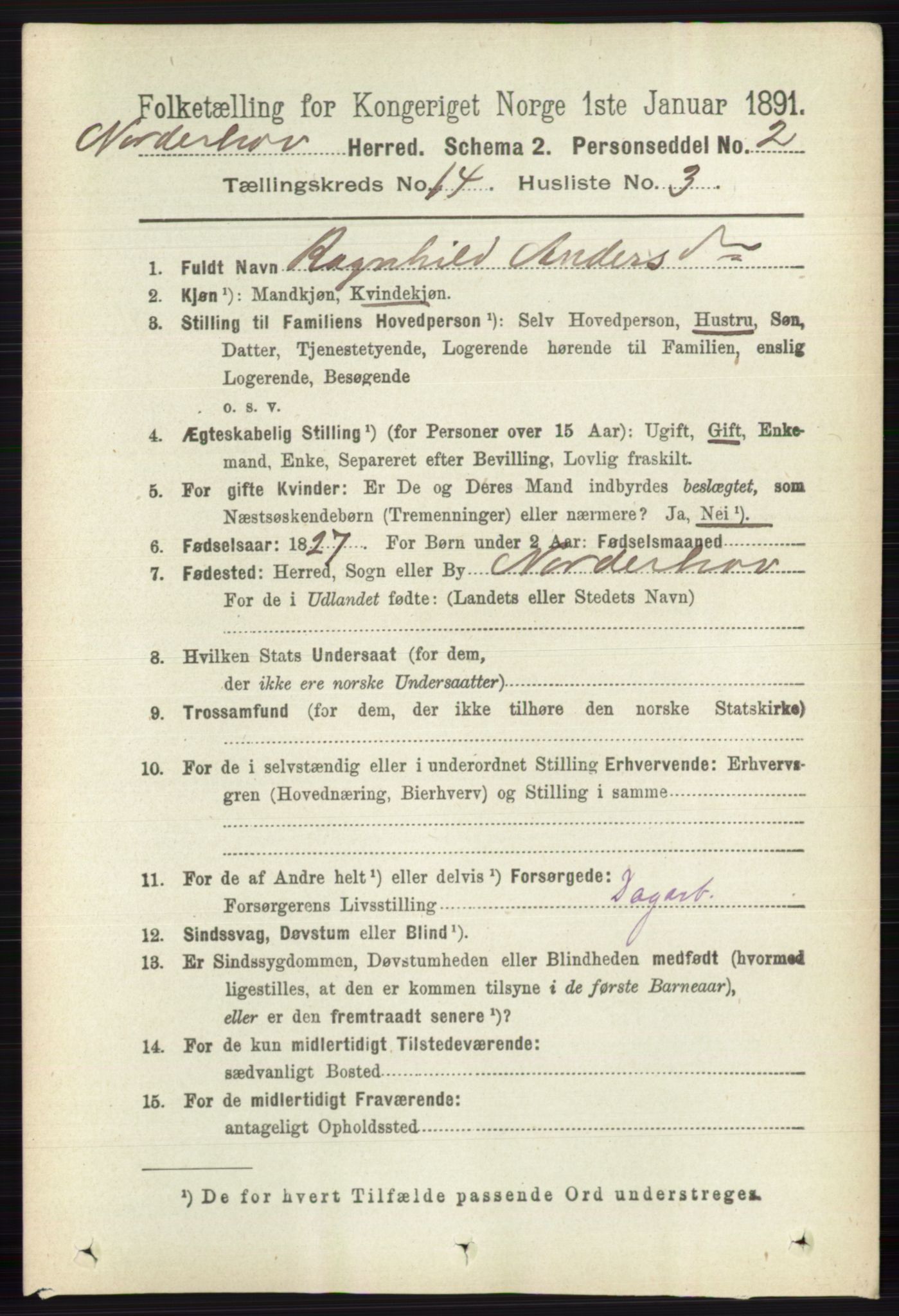 RA, 1891 census for 0613 Norderhov, 1891, p. 9343