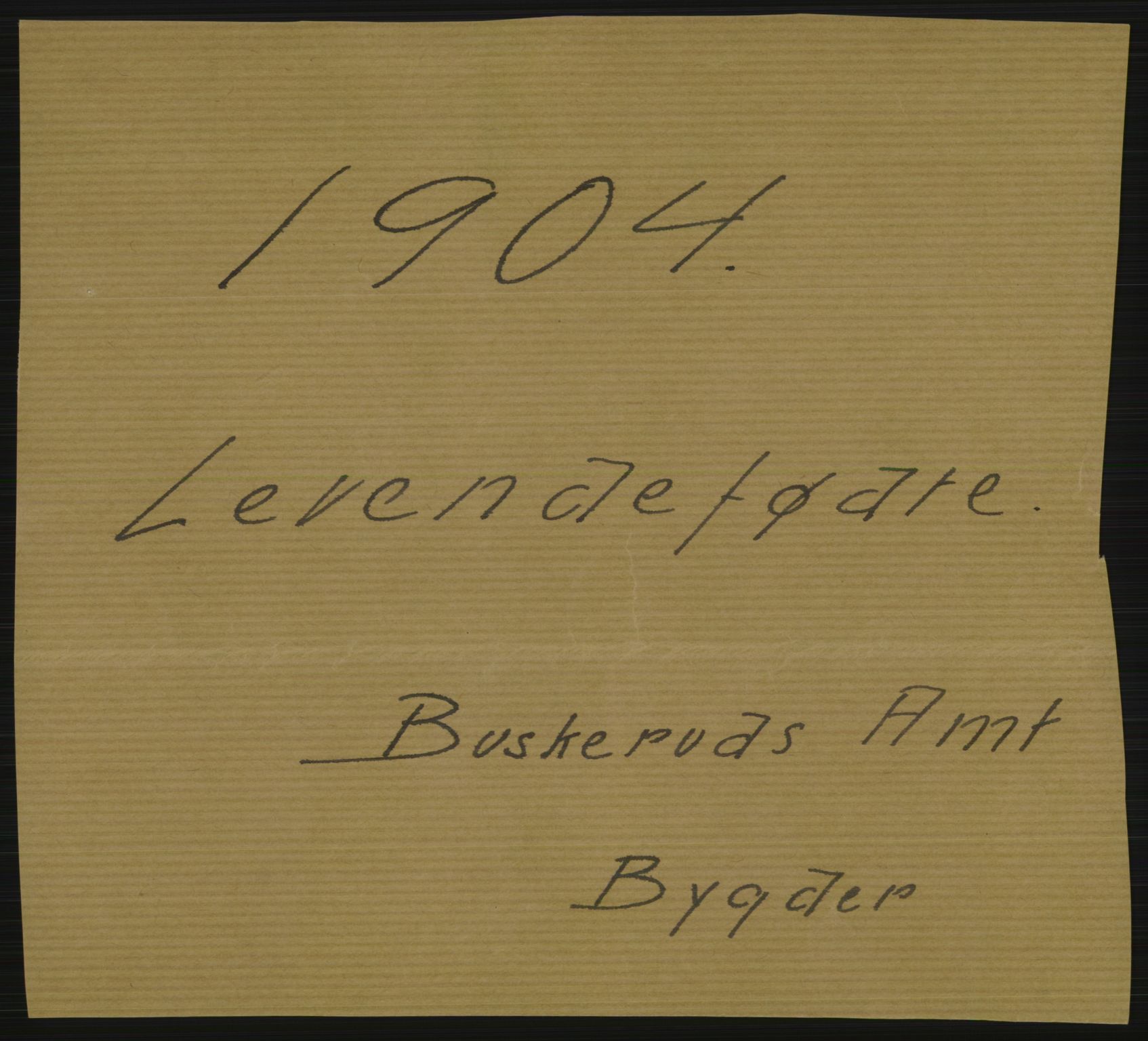 Statistisk sentralbyrå, Sosiodemografiske emner, Befolkning, RA/S-2228/D/Df/Dfa/Dfab/L0007: Buskerud amt: Fødte, gifte, døde, 1904, p. 1