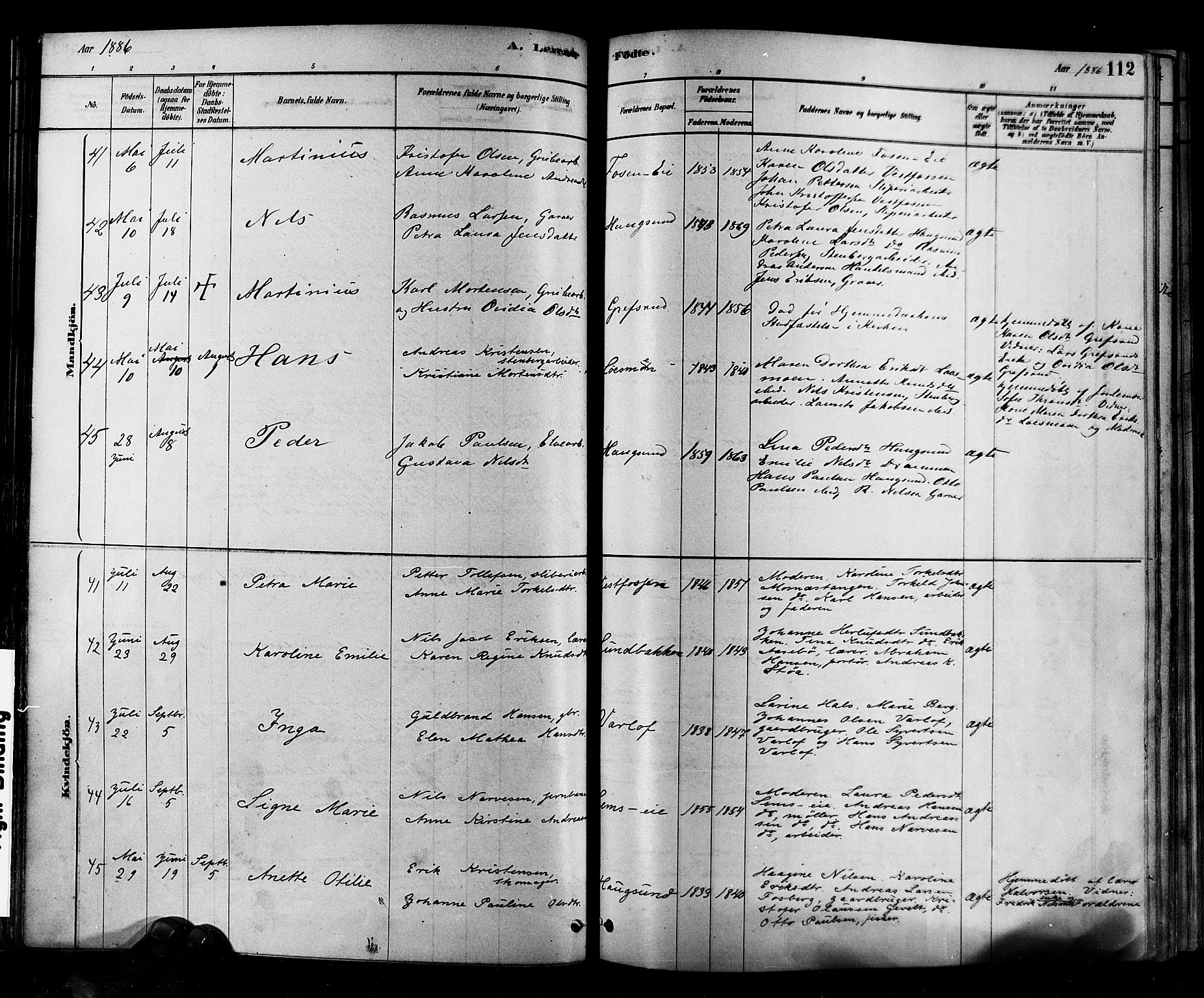 Eiker kirkebøker, AV/SAKO-A-4/F/Fb/L0001: Parish register (official) no. II 1, 1878-1888, p. 112