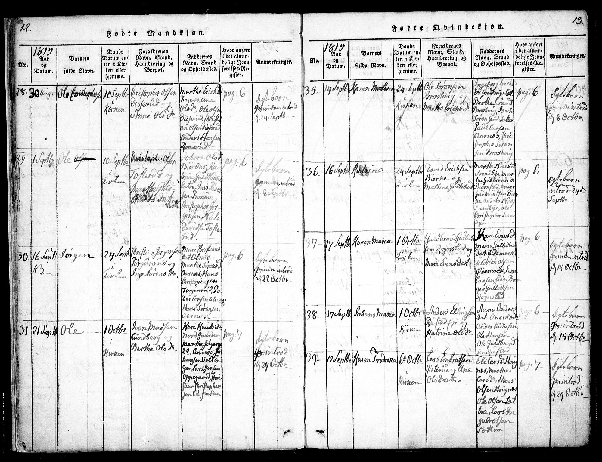 Hurdal prestekontor Kirkebøker, AV/SAO-A-10889/F/Fa/L0003: Parish register (official) no. I 3, 1815-1828, p. 12-13