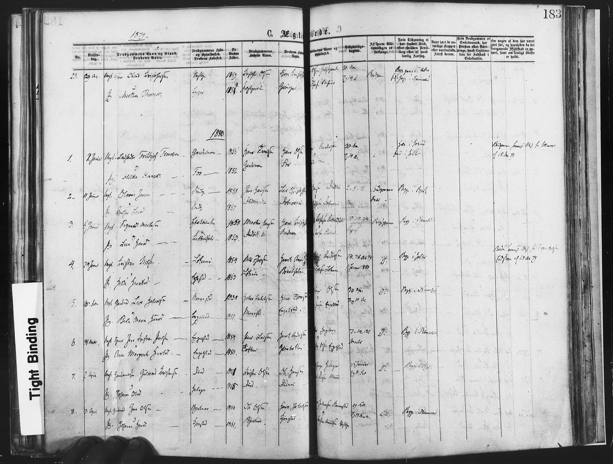 Nannestad prestekontor Kirkebøker, SAO/A-10414a/F/Fa/L0013: Parish register (official) no. I 13, 1873-1880, p. 183