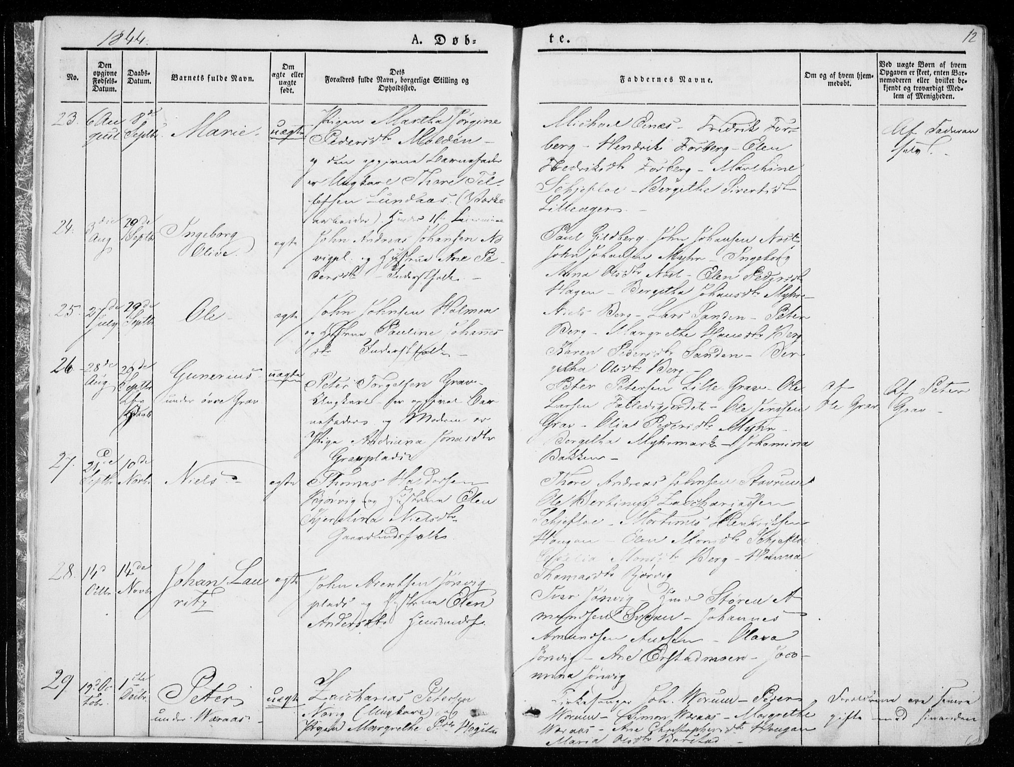 Ministerialprotokoller, klokkerbøker og fødselsregistre - Nord-Trøndelag, SAT/A-1458/722/L0218: Parish register (official) no. 722A05, 1843-1868, p. 12