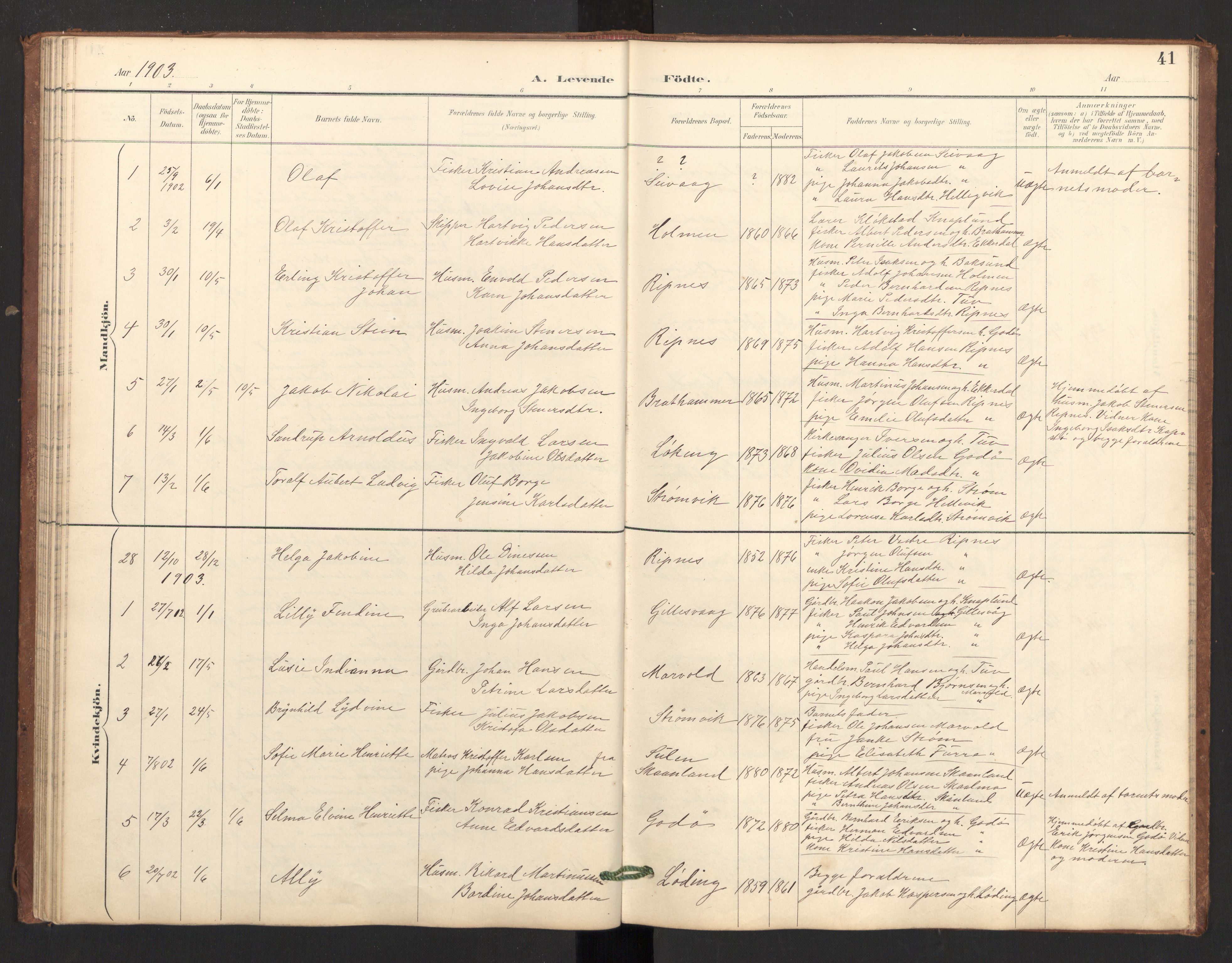 Ministerialprotokoller, klokkerbøker og fødselsregistre - Nordland, SAT/A-1459/804/L0087: Parish register (official) no. 804A08, 1894-1907, p. 41
