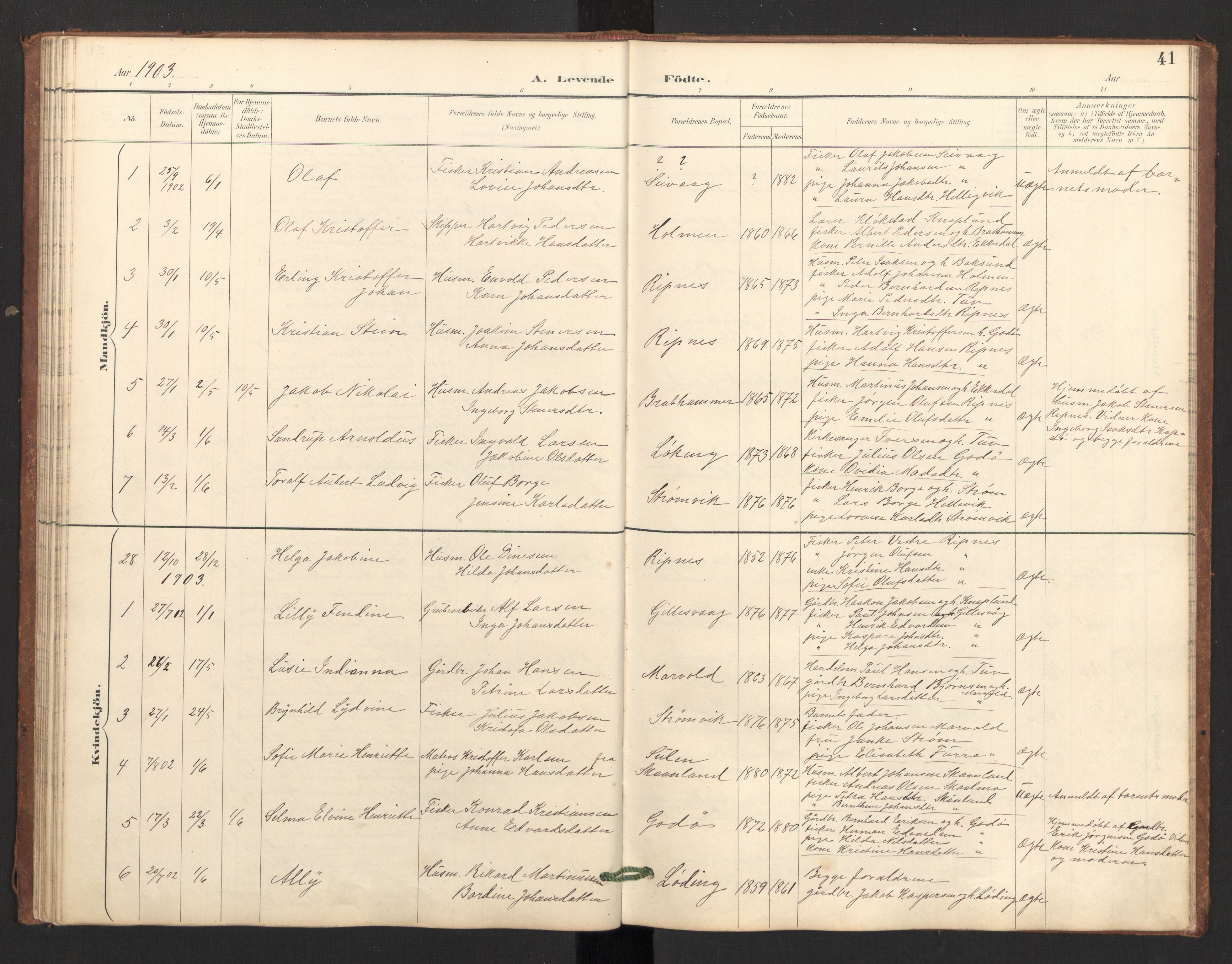 Ministerialprotokoller, klokkerbøker og fødselsregistre - Nordland, AV/SAT-A-1459/804/L0087: Parish register (official) no. 804A08, 1894-1907, p. 41