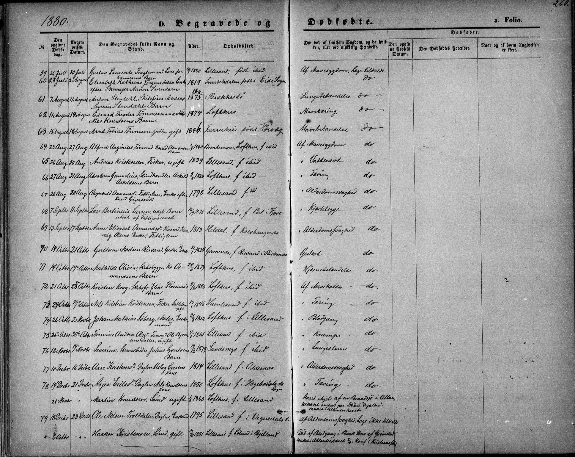 Vestre Moland sokneprestkontor, AV/SAK-1111-0046/F/Fb/Fbb/L0005: Parish register (copy) no. B 5, 1872-1883, p. 260