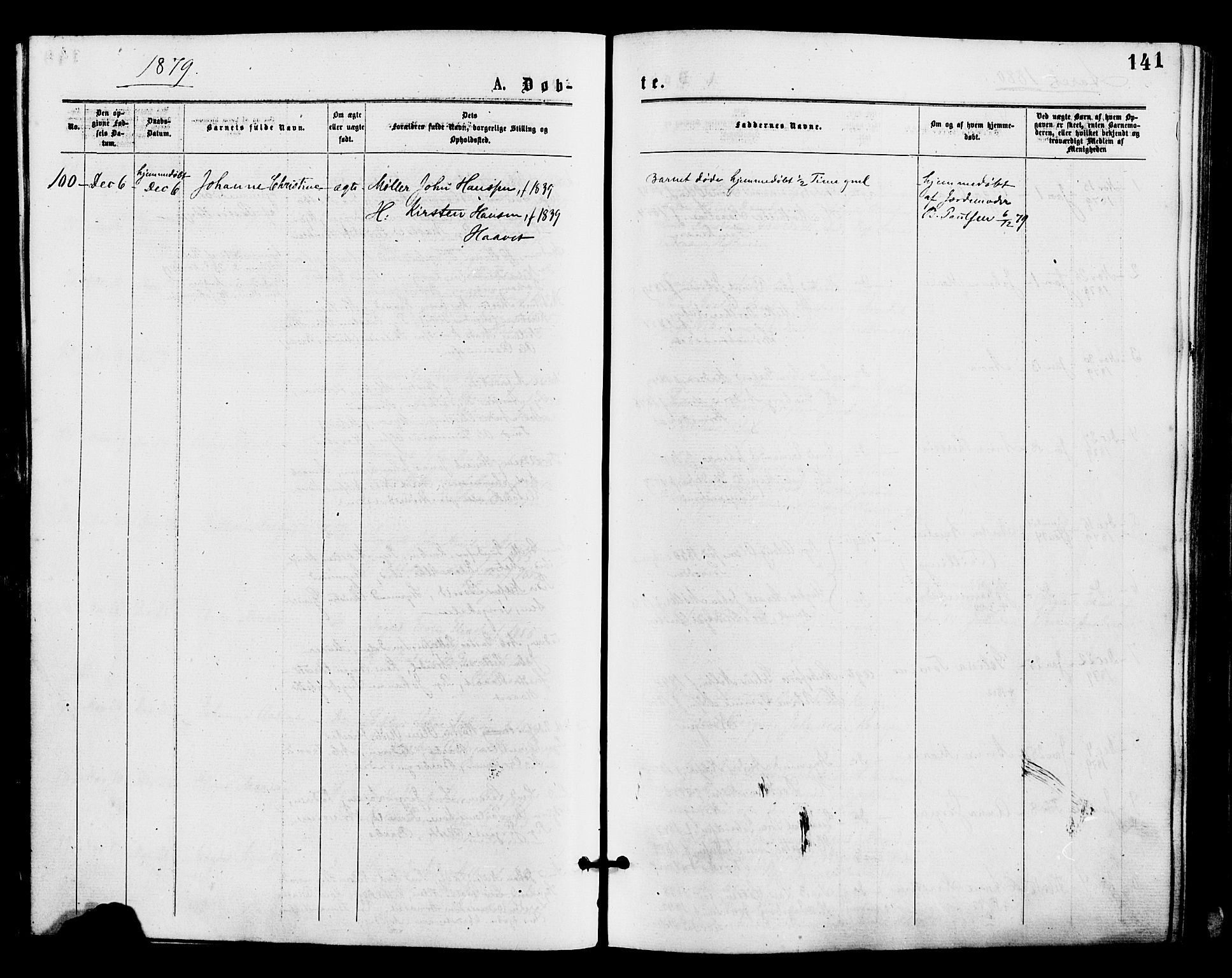 Barbu sokneprestkontor, AV/SAK-1111-0003/F/Fa/L0001: Parish register (official) no. A 1 /1, 1878-1883, p. 141