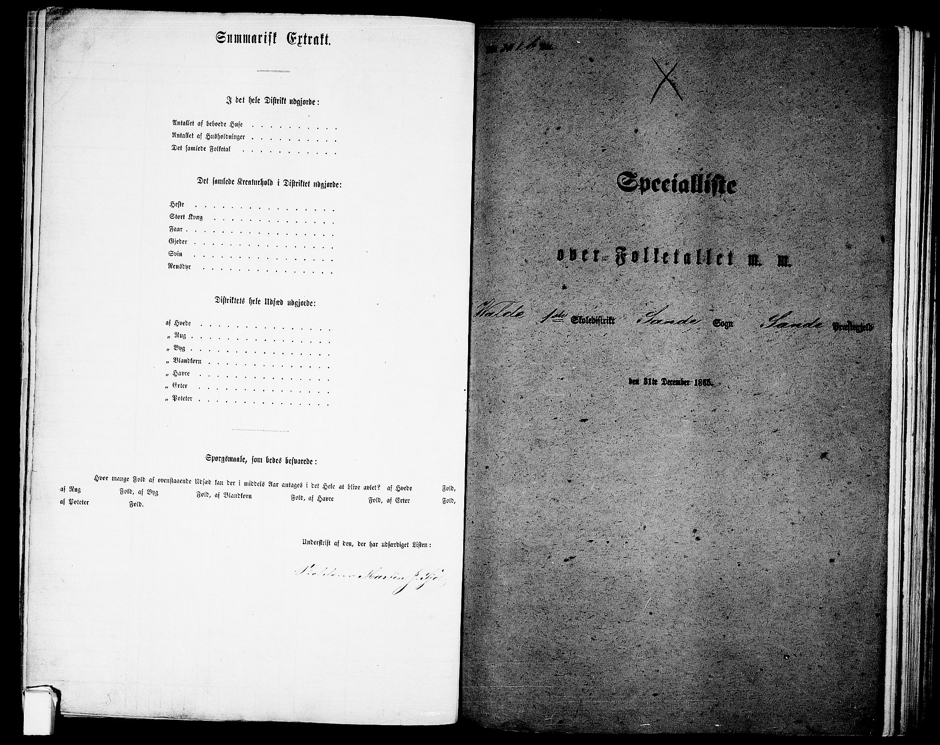 RA, 1865 census for Sande, 1865, p. 20