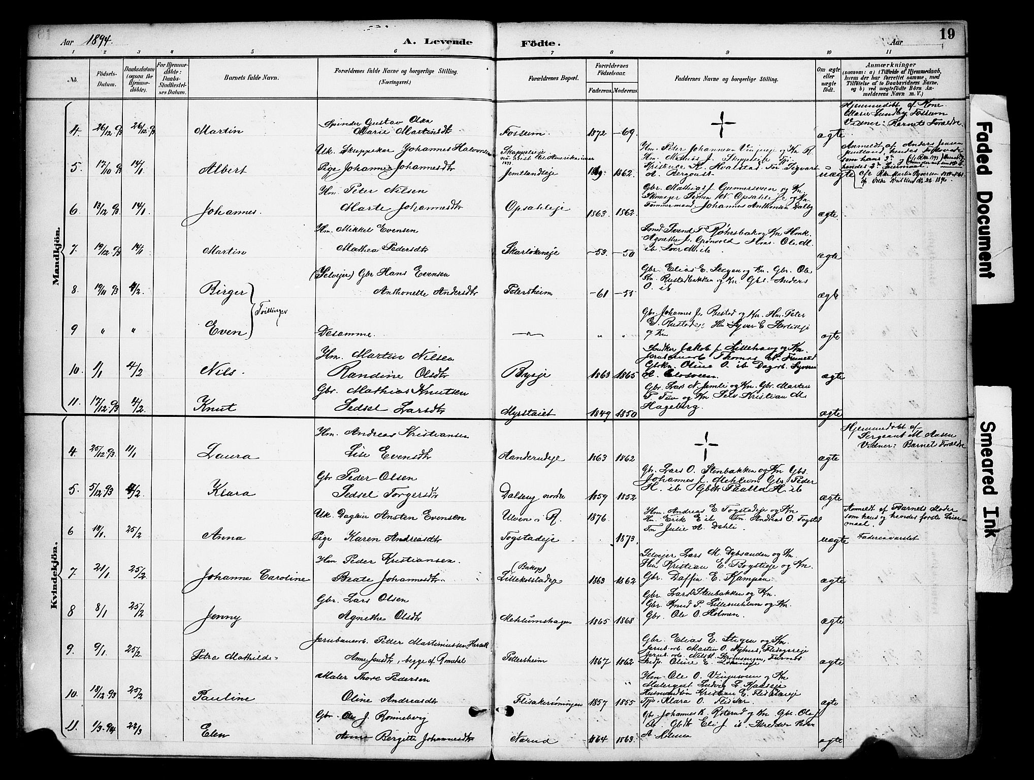 Ringsaker prestekontor, AV/SAH-PREST-014/K/Ka/L0016: Parish register (official) no. 16, 1891-1904, p. 19