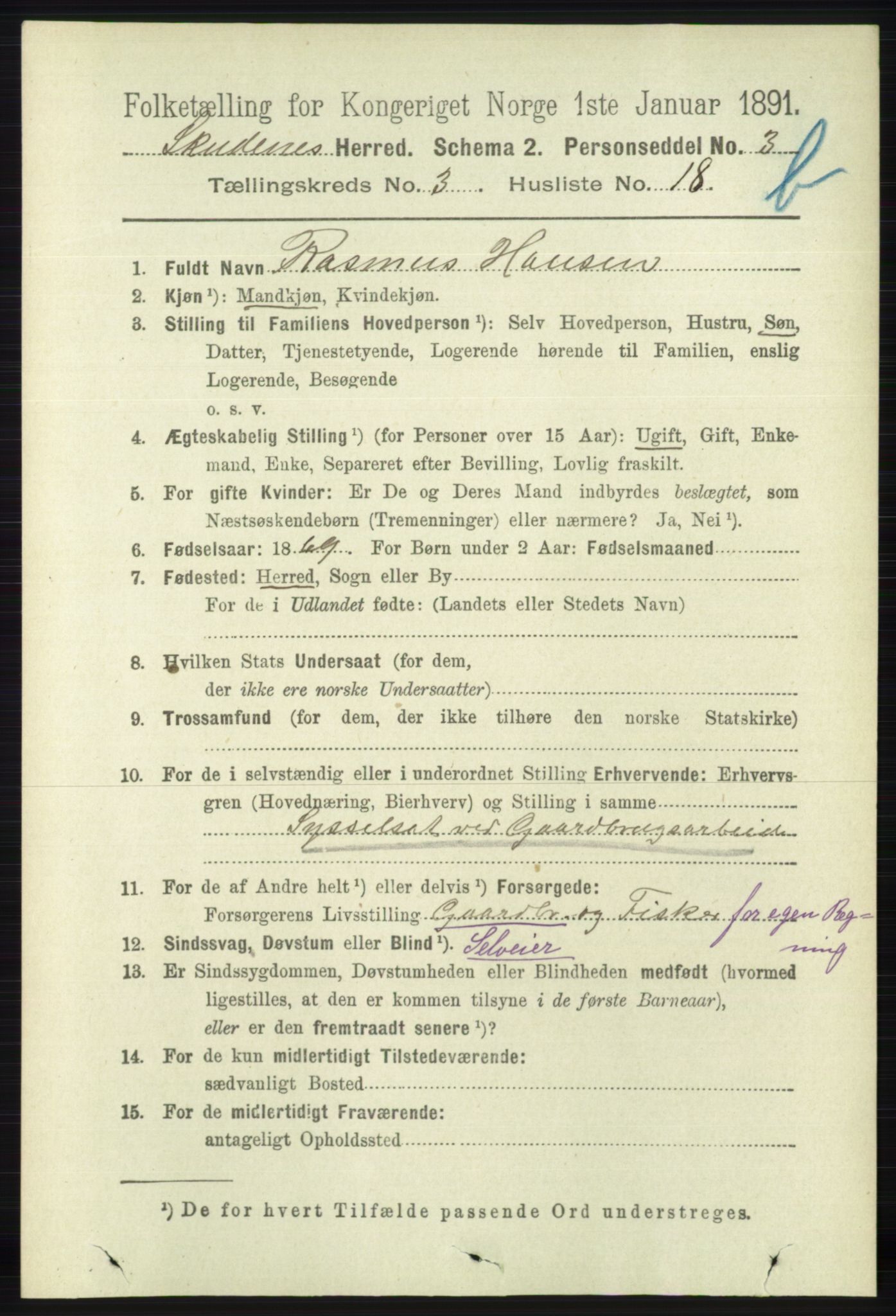 RA, 1891 census for 1150 Skudenes, 1891, p. 4091
