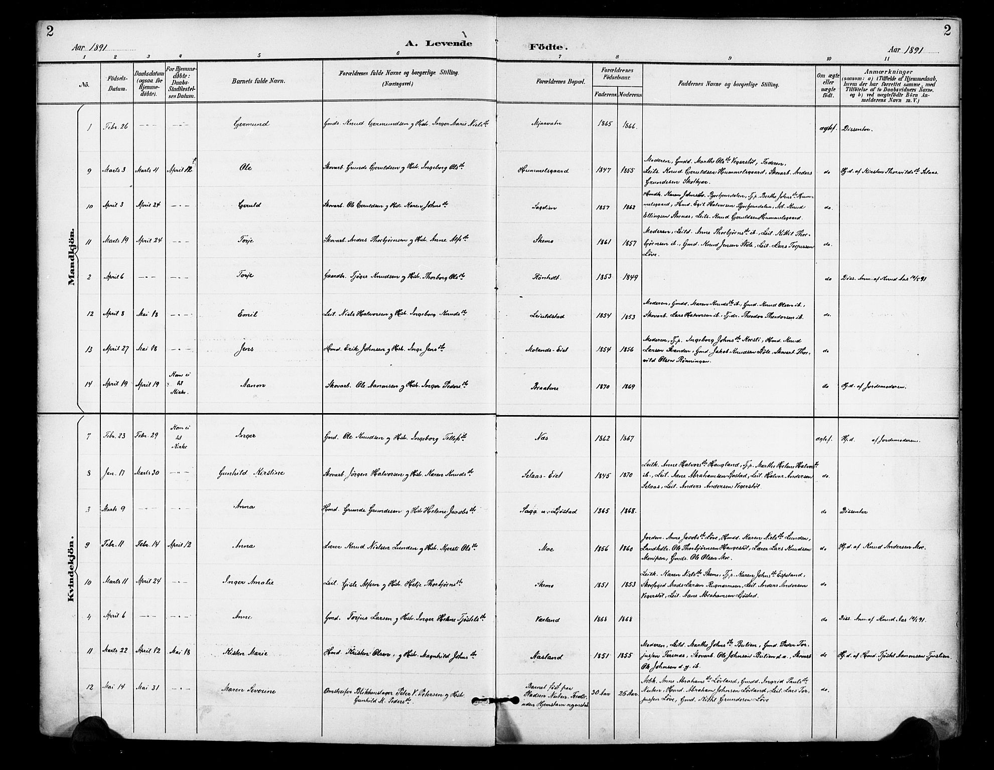 Gjerstad sokneprestkontor, AV/SAK-1111-0014/F/Fa/Fab/L0005: Parish register (official) no. A 5, 1891-1908, p. 2