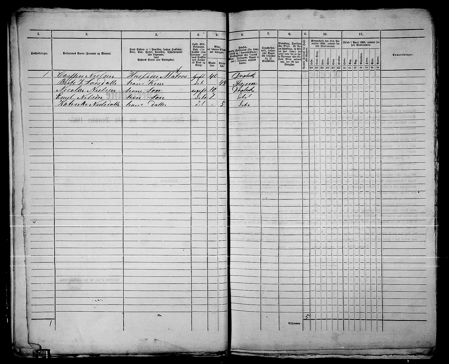 RA, 1865 census for Drøbak/Drøbak, 1865, p. 17