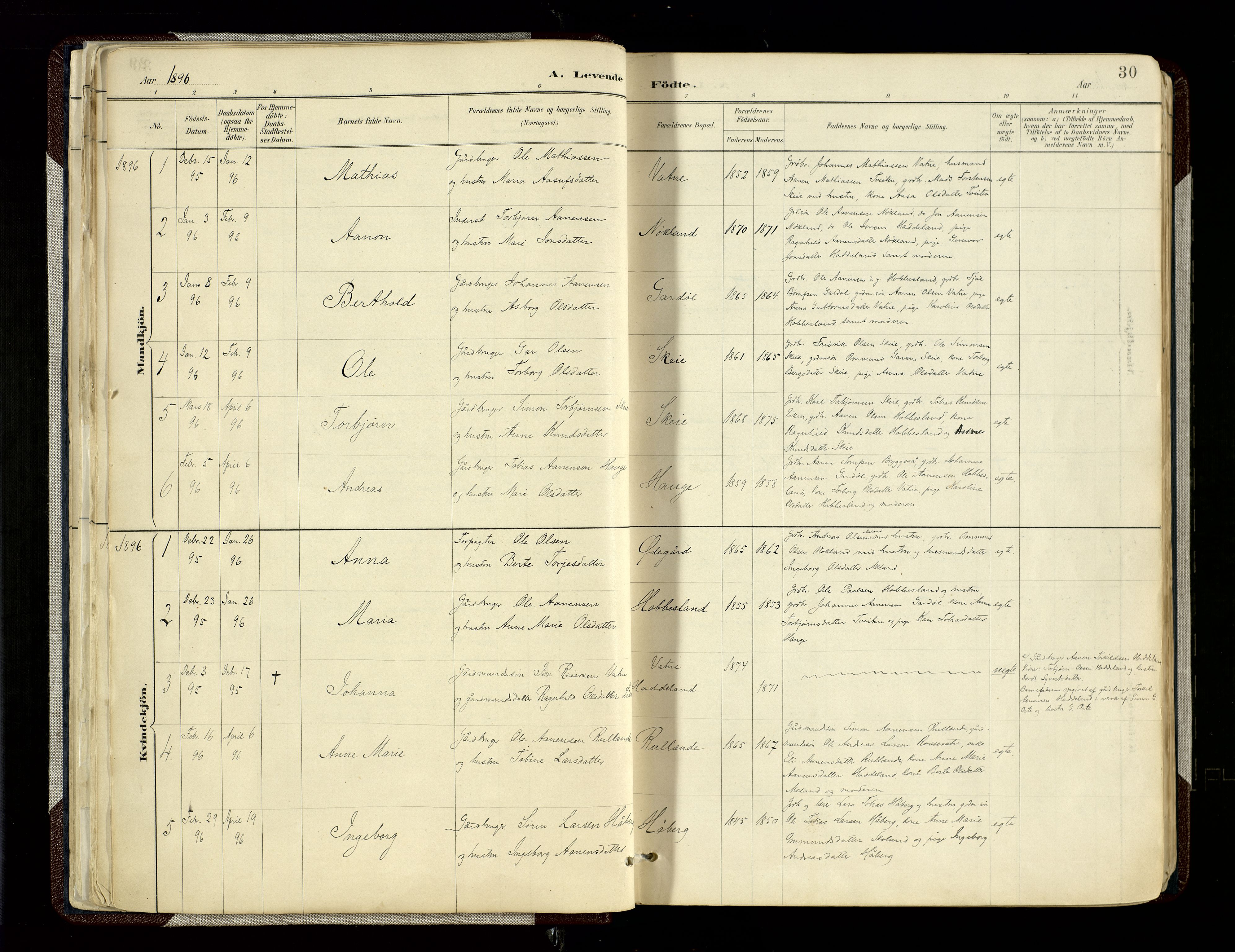 Hægebostad sokneprestkontor, SAK/1111-0024/F/Fa/Fab/L0004: Parish register (official) no. A 4, 1887-1929, p. 30