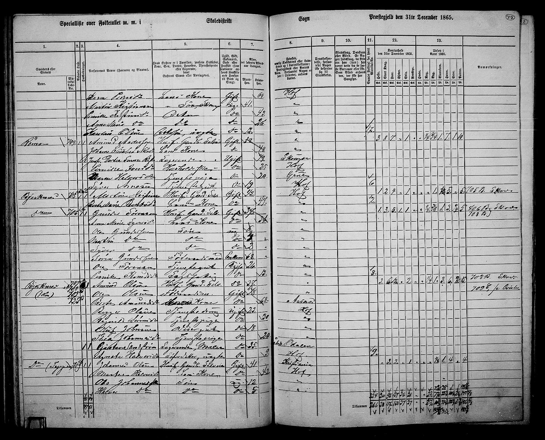 RA, 1865 census for Hof, 1865, p. 73