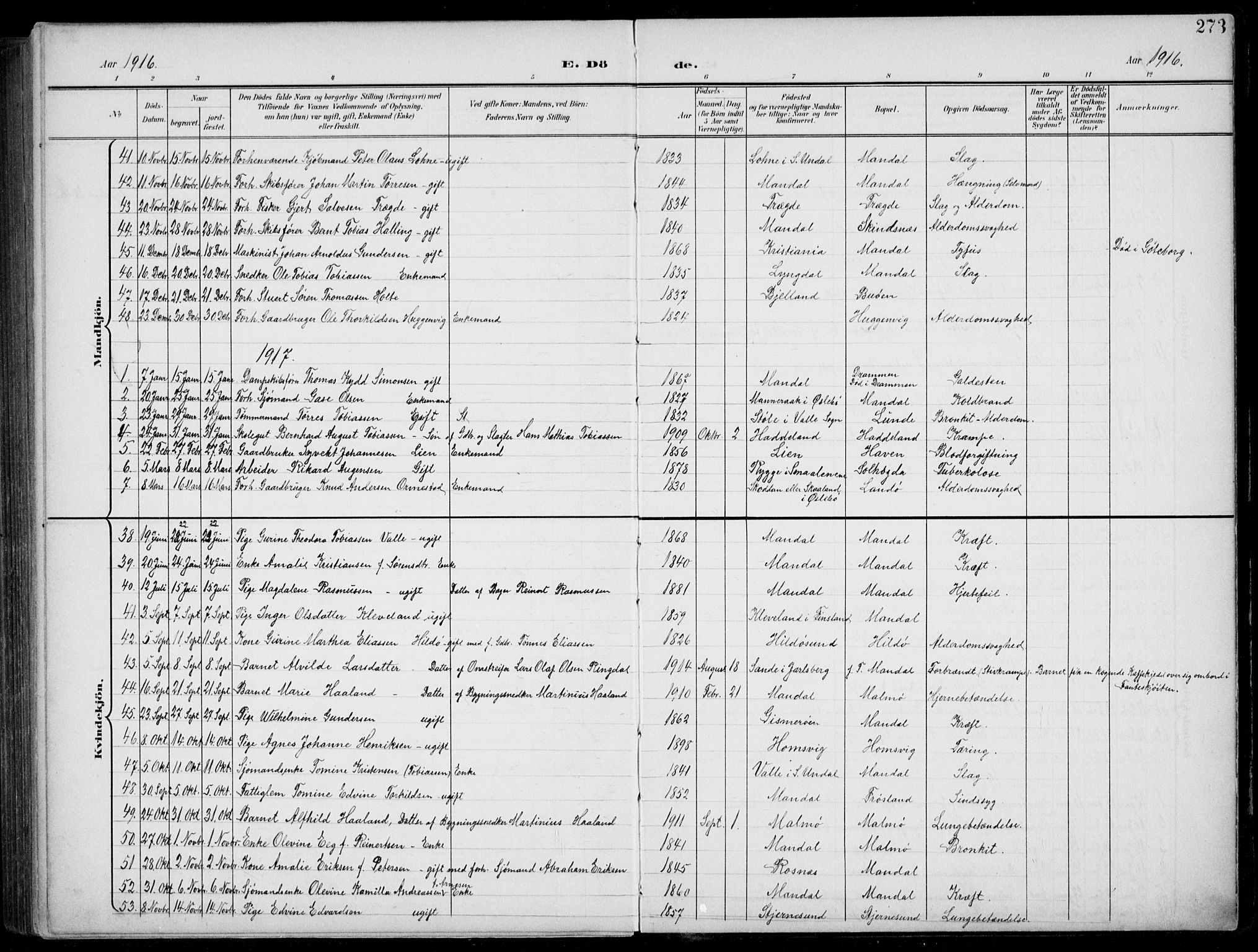 Mandal sokneprestkontor, AV/SAK-1111-0030/F/Fb/Fba/L0012: Parish register (copy) no. B 6, 1899-1918, p. 273