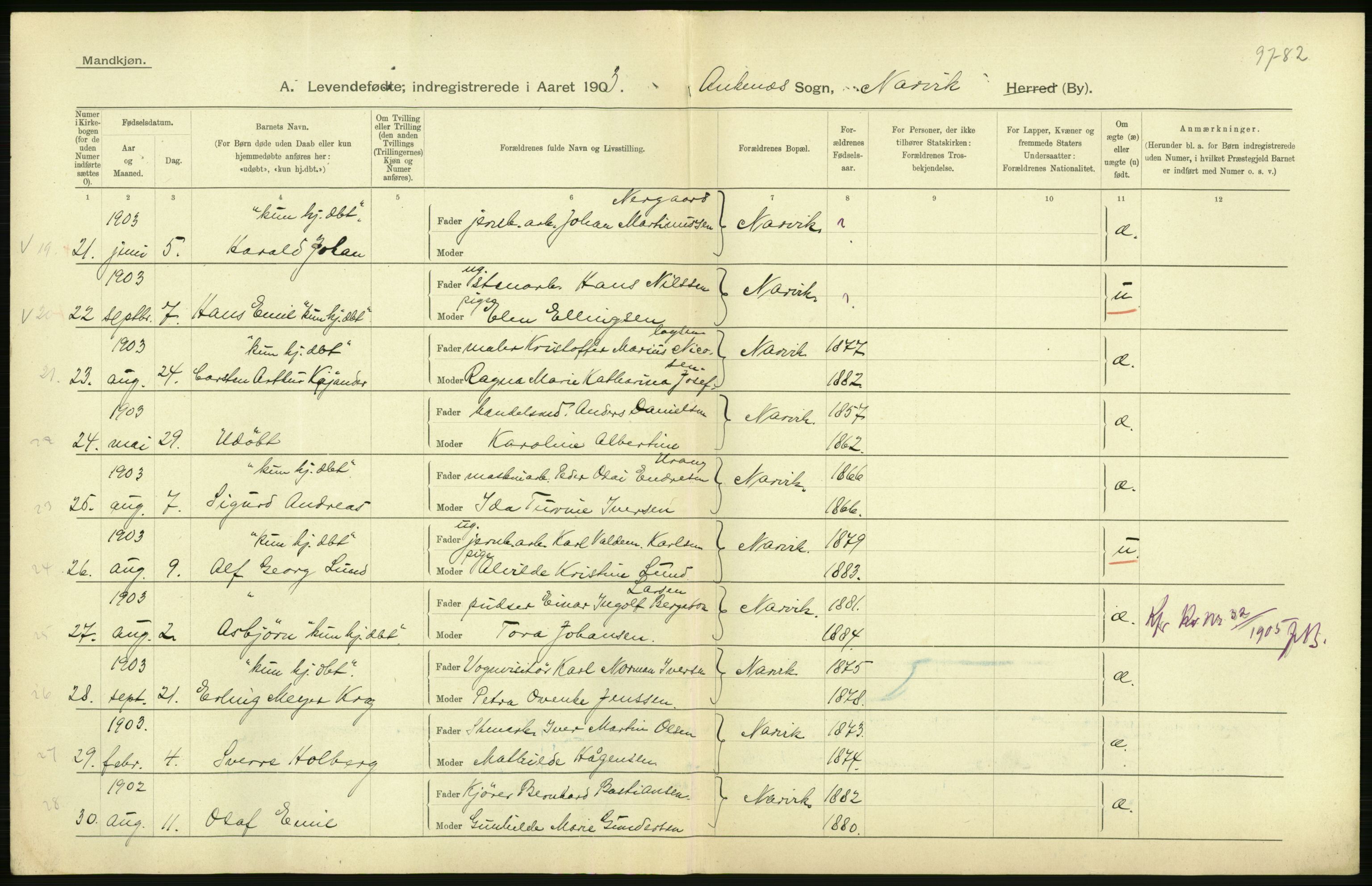 Statistisk sentralbyrå, Sosiodemografiske emner, Befolkning, AV/RA-S-2228/D/Df/Dfa/Dfaa/L0019: Nordlands amt: Fødte, gifte, døde., 1903, p. 30