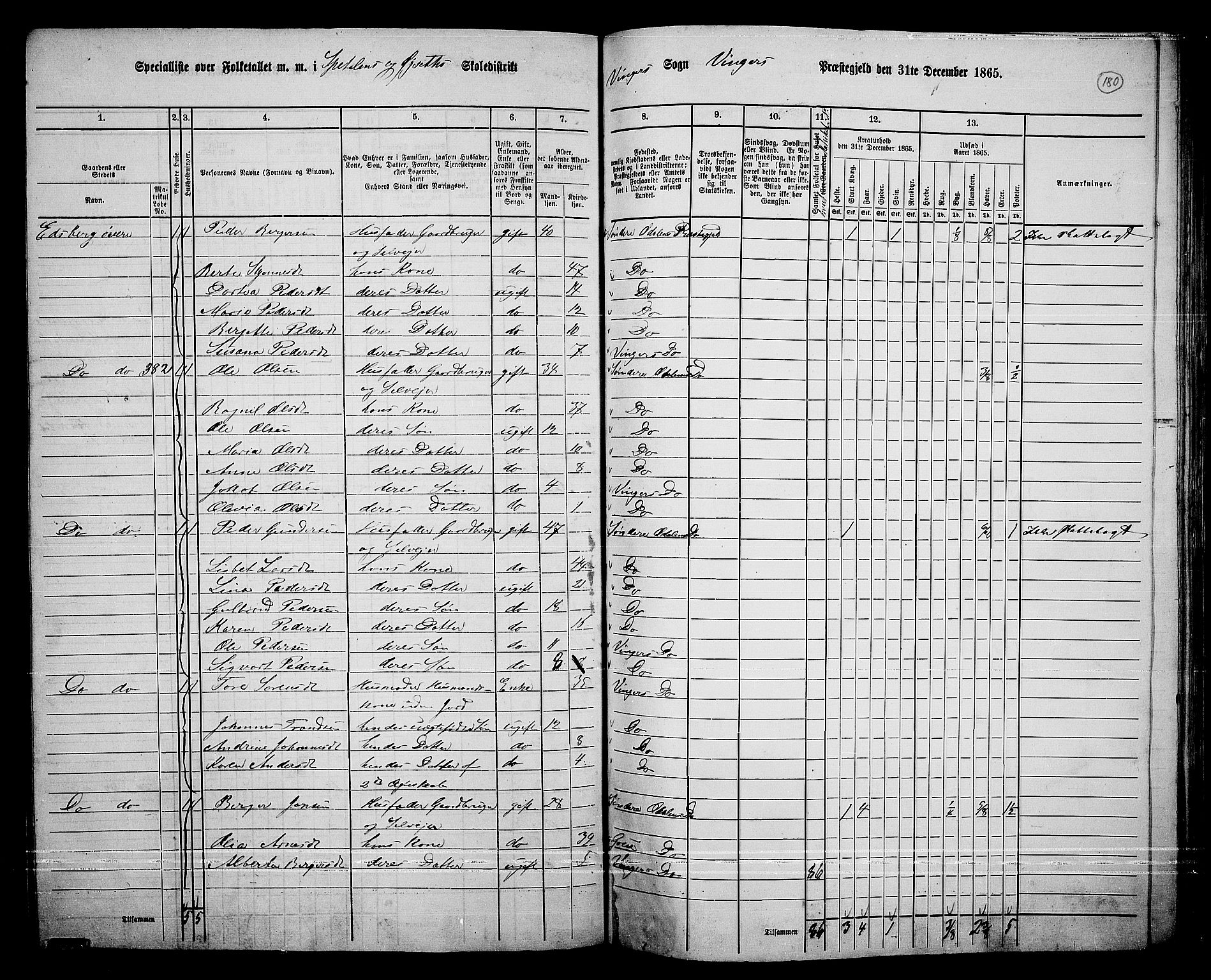 RA, 1865 census for Vinger/Vinger og Austmarka, 1865, p. 165