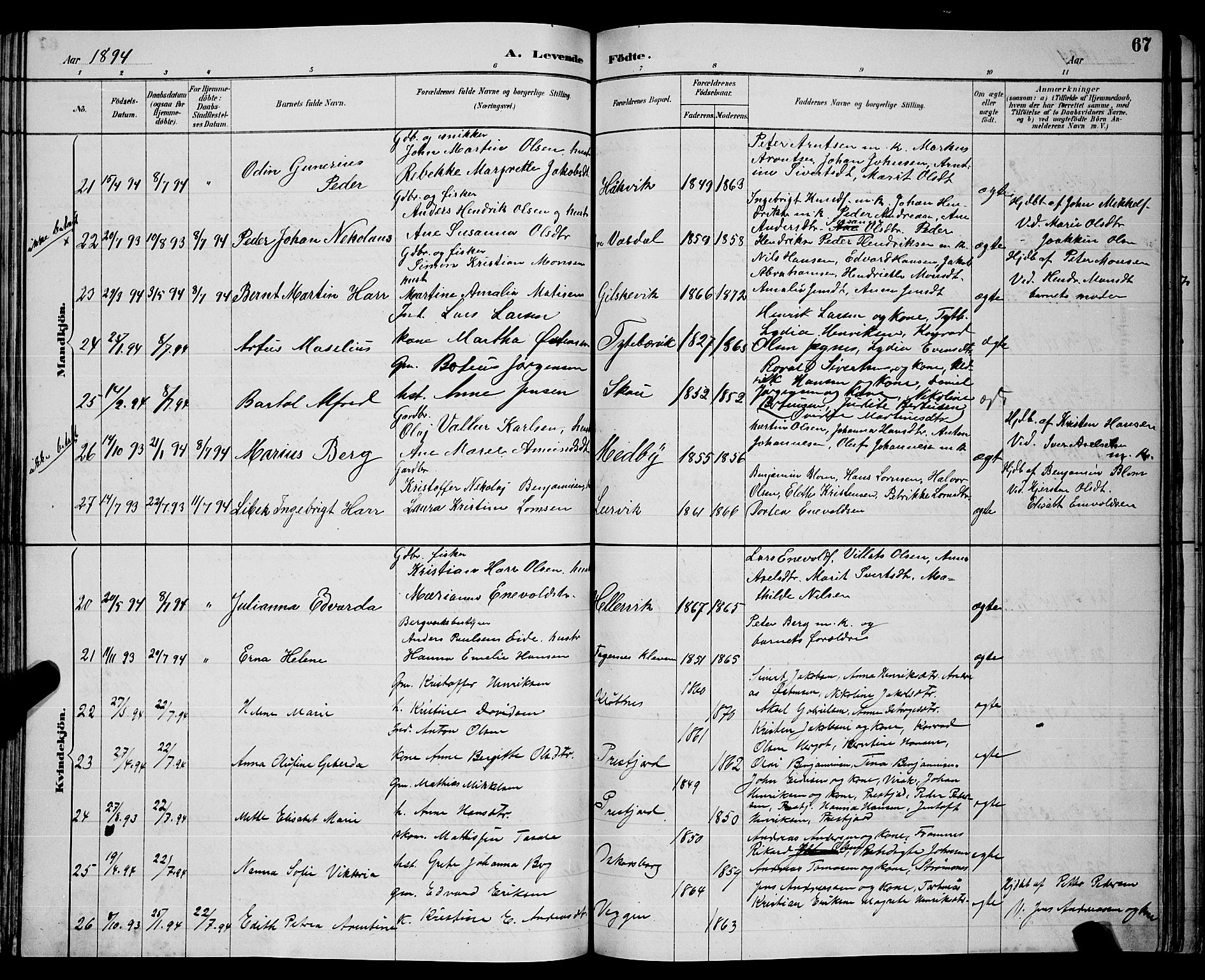 Ministerialprotokoller, klokkerbøker og fødselsregistre - Nordland, AV/SAT-A-1459/866/L0952: Parish register (copy) no. 866C01, 1886-1899, p. 67