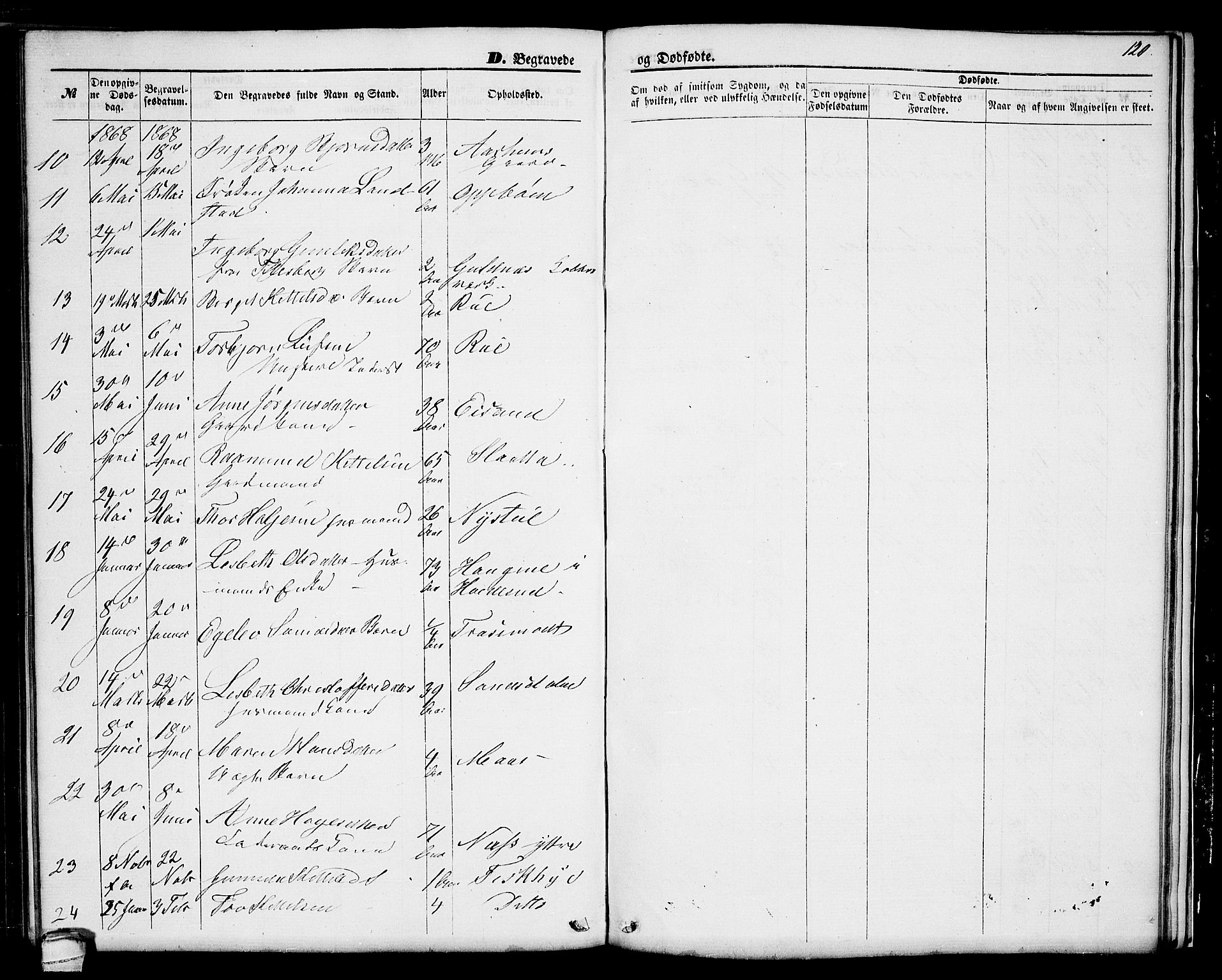 Seljord kirkebøker, SAKO/A-20/G/Ga/L0003: Parish register (copy) no. I 3, 1866-1873, p. 120