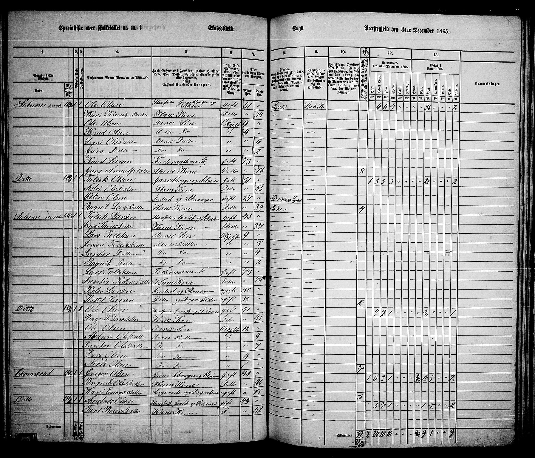 RA, 1865 census for Nore, 1865, p. 114