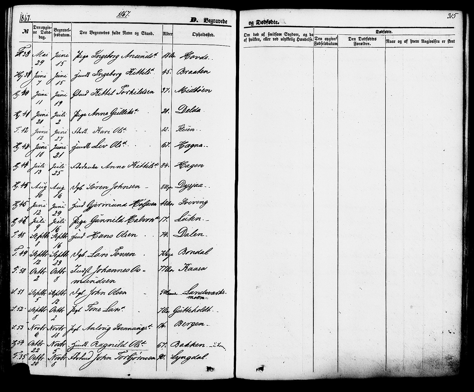 Hjartdal kirkebøker, SAKO/A-270/F/Fa/L0009: Parish register (official) no. I 9, 1860-1879, p. 315