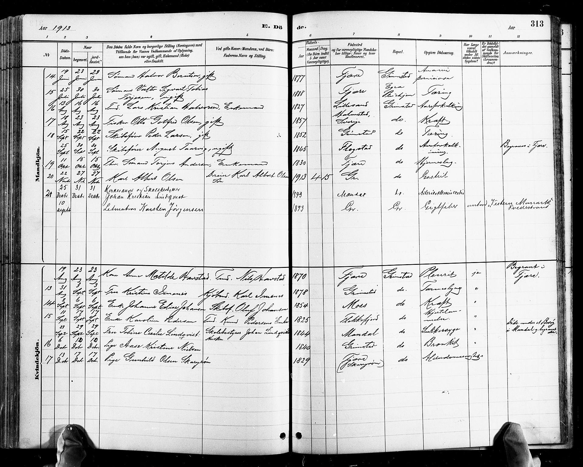 Grimstad sokneprestkontor, AV/SAK-1111-0017/F/Fb/L0001: Parish register (copy) no. B 1, 1881-1922, p. 313