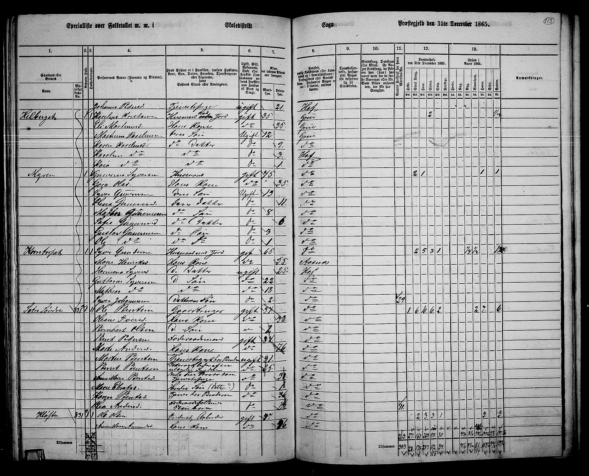 RA, 1865 census for Hof, 1865, p. 105